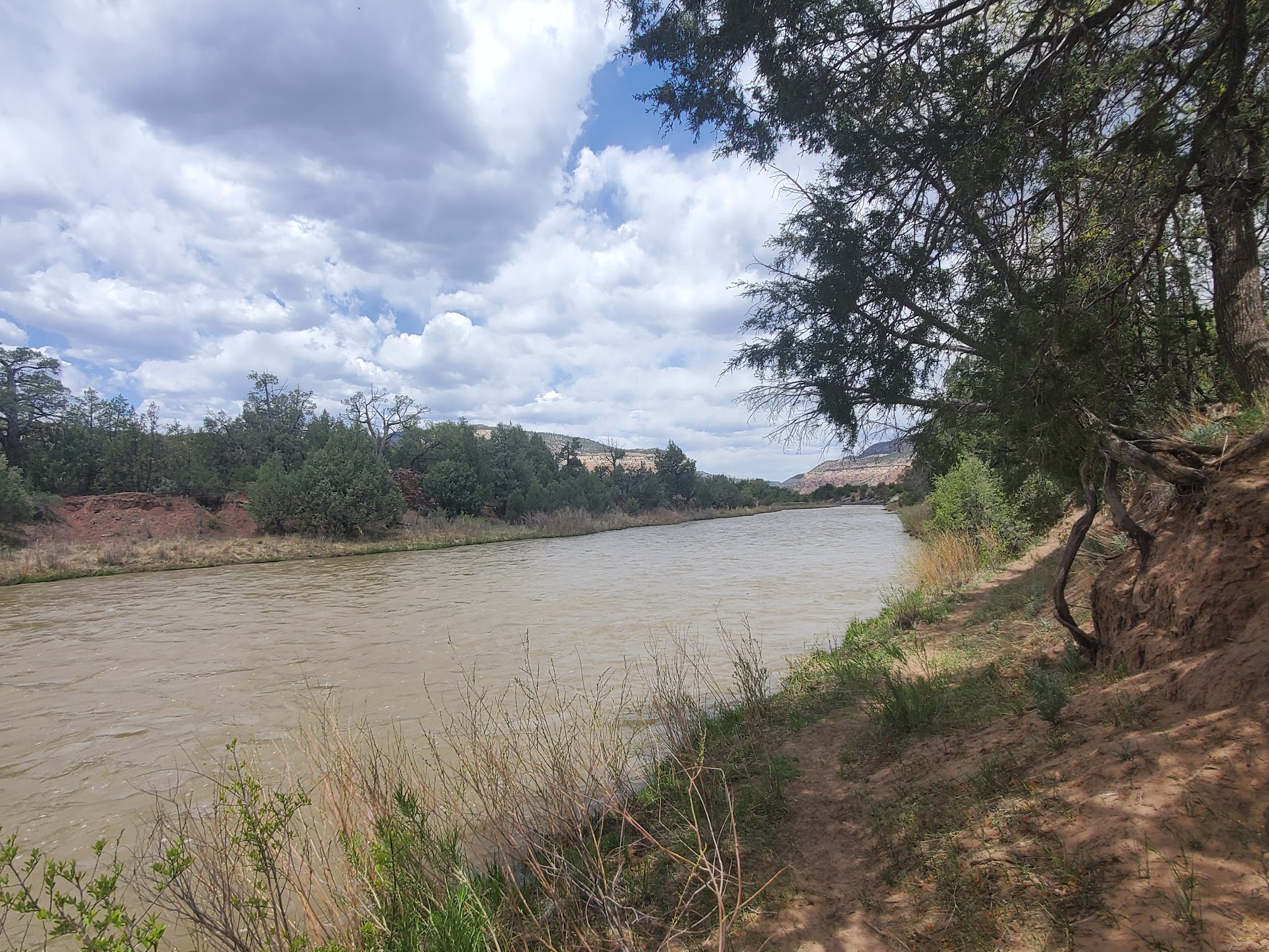 Rio Chama Campground