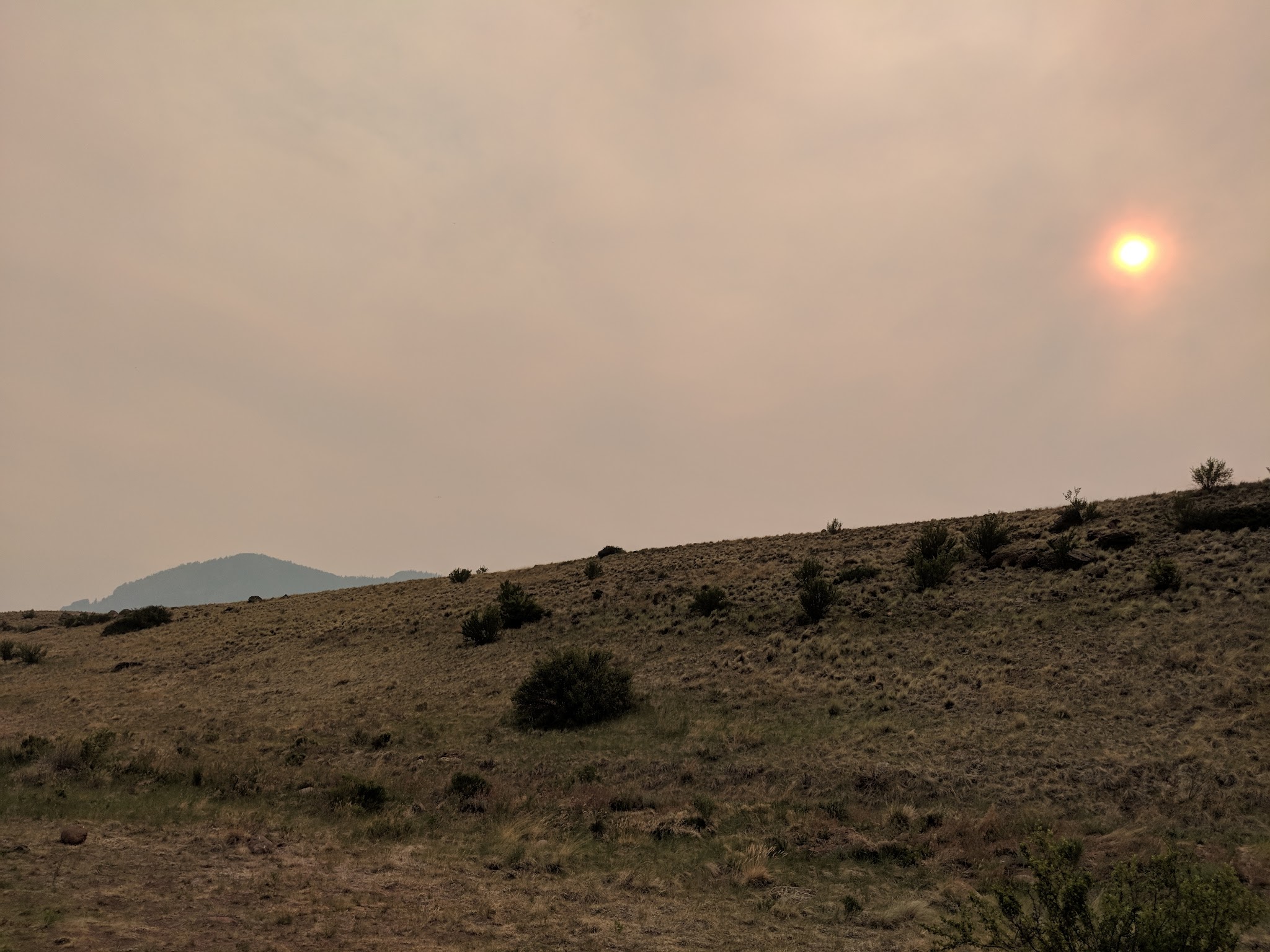 Rio Grande Campground