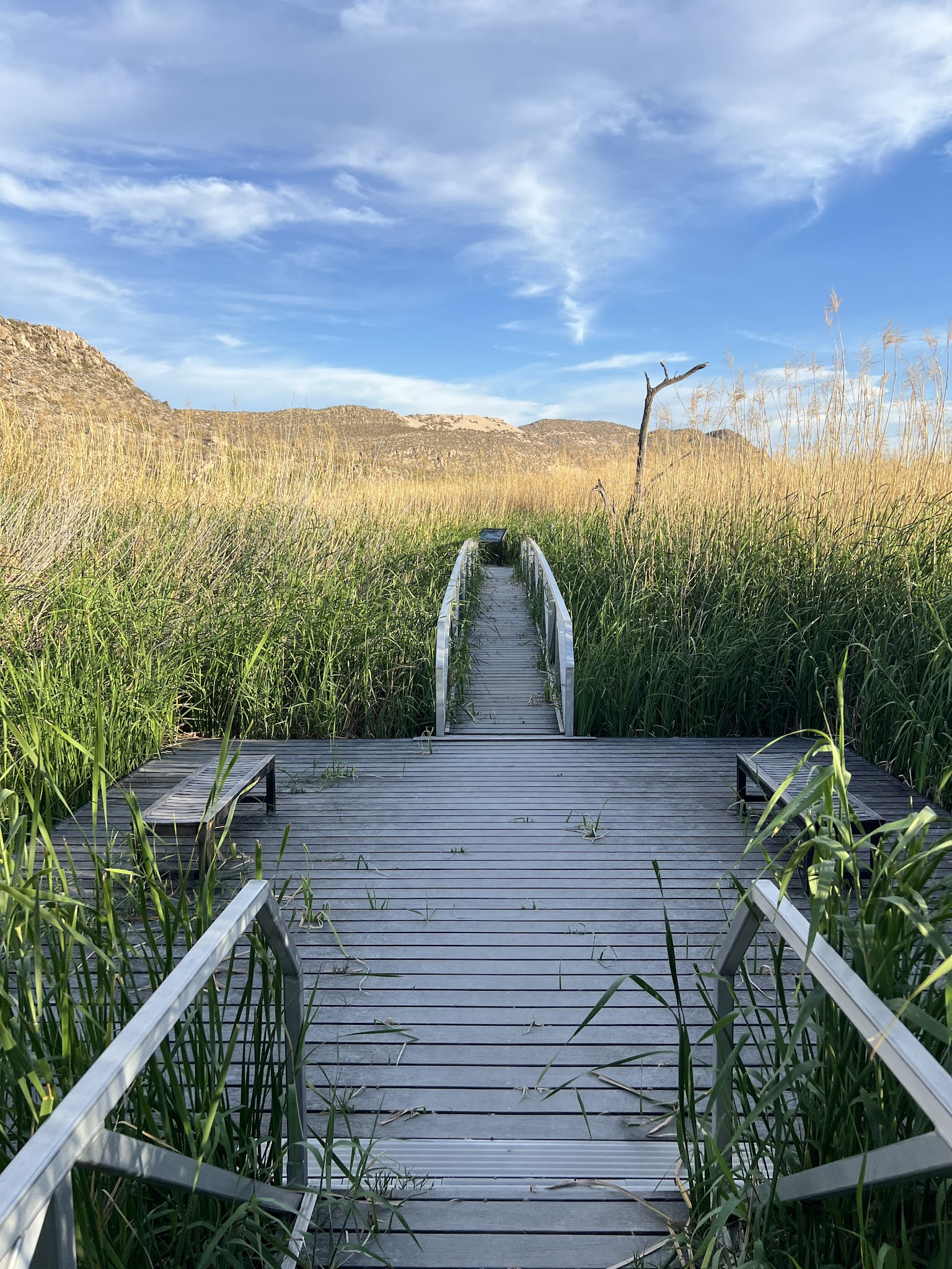 Rio Grande Village (Big Bend, Tx)