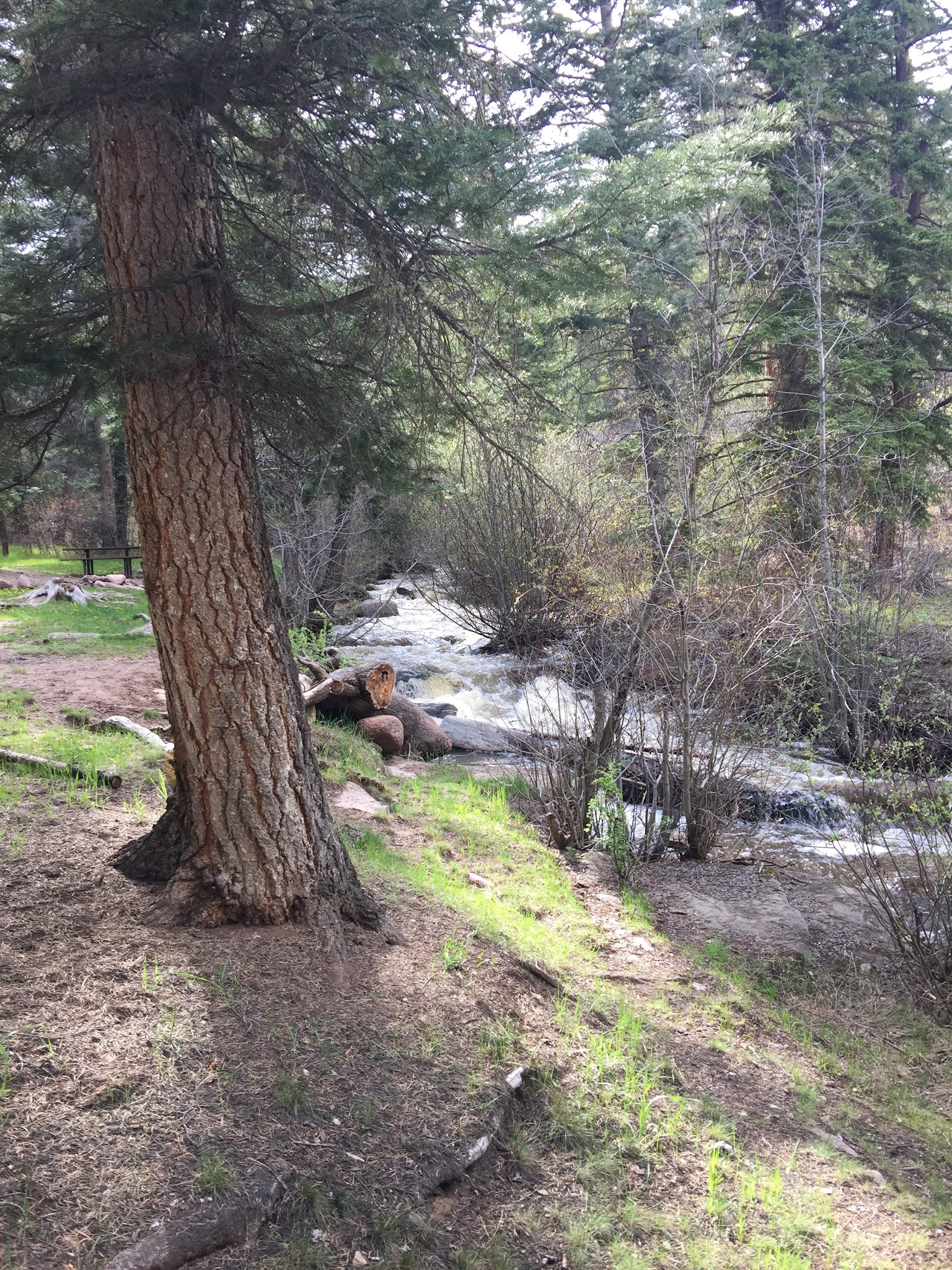 Rio Puerco Campground
