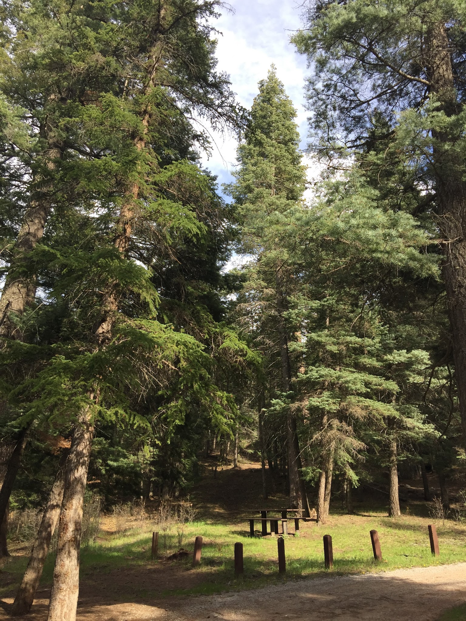 Rio Puerco Campground