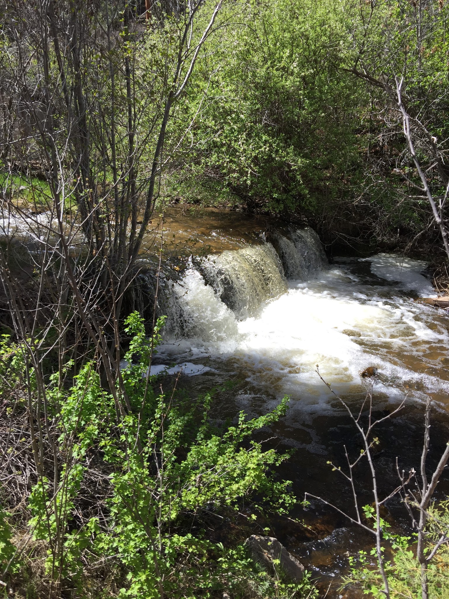 Rio Puerco Campground