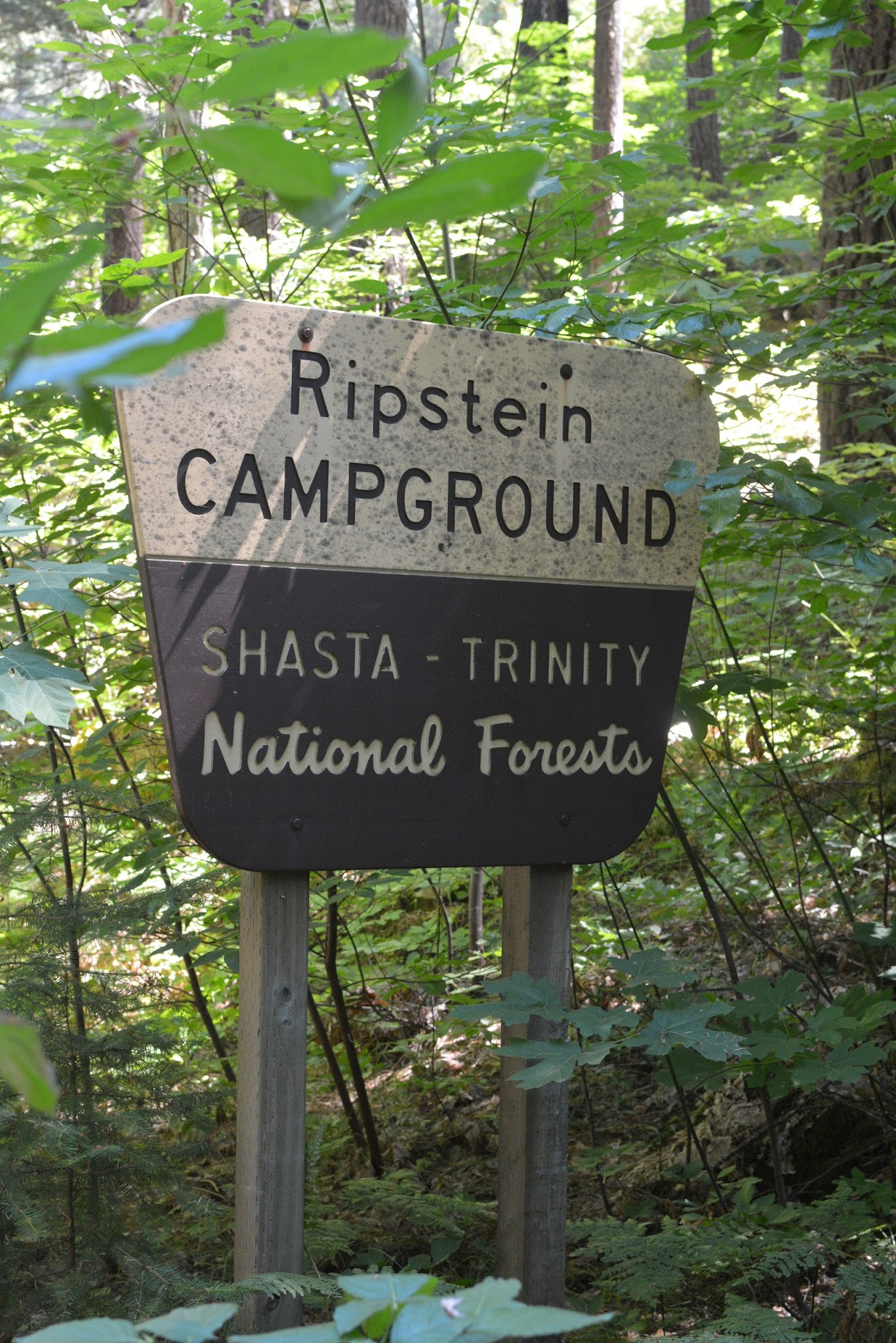 Ripstein Campground