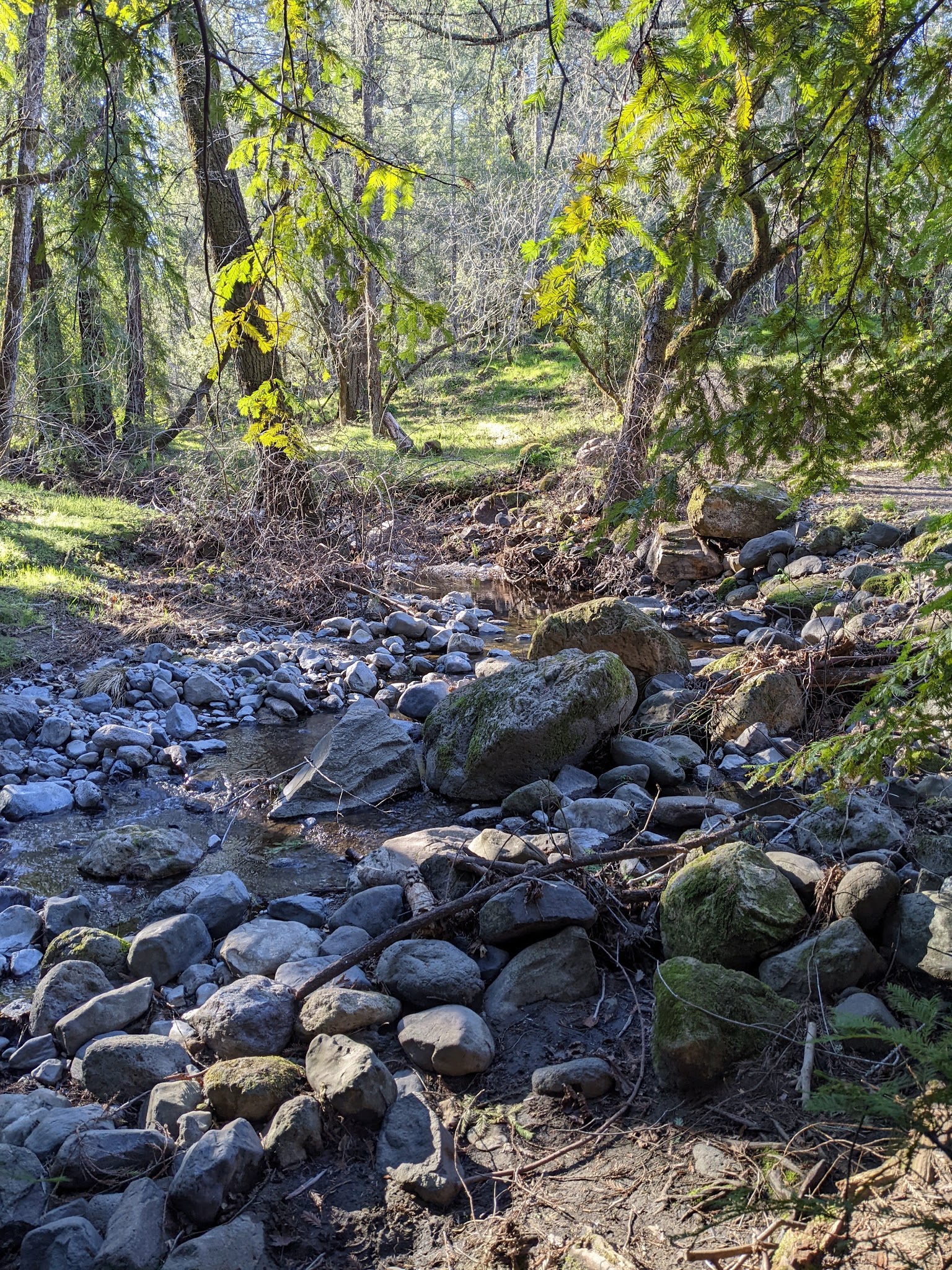 Ritchey Creek Campground