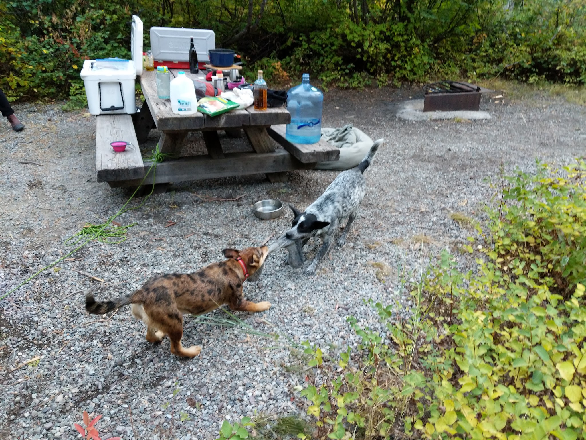 River Bend Campground