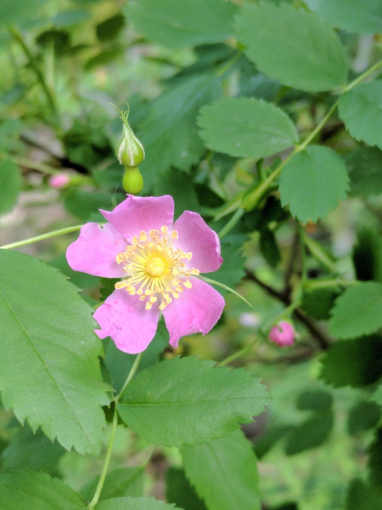 River Bend Campground