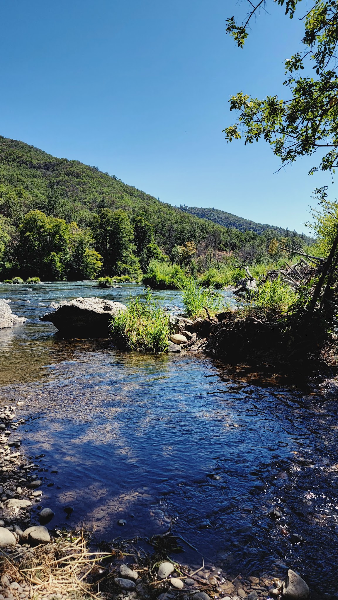 River Bridge Campground