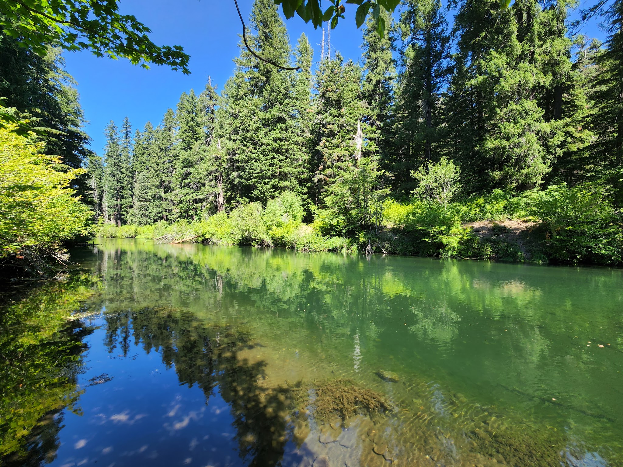 River Bridge Campground