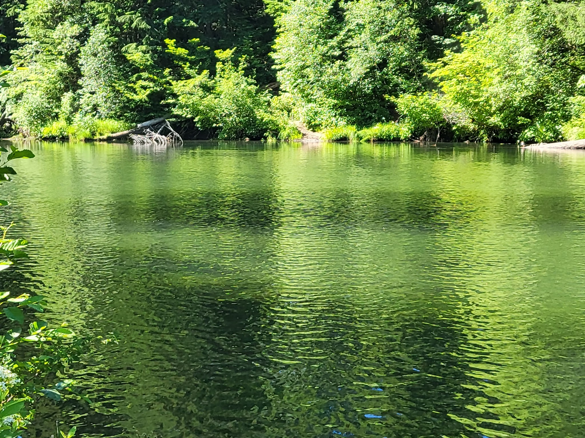 River Bridge Campground