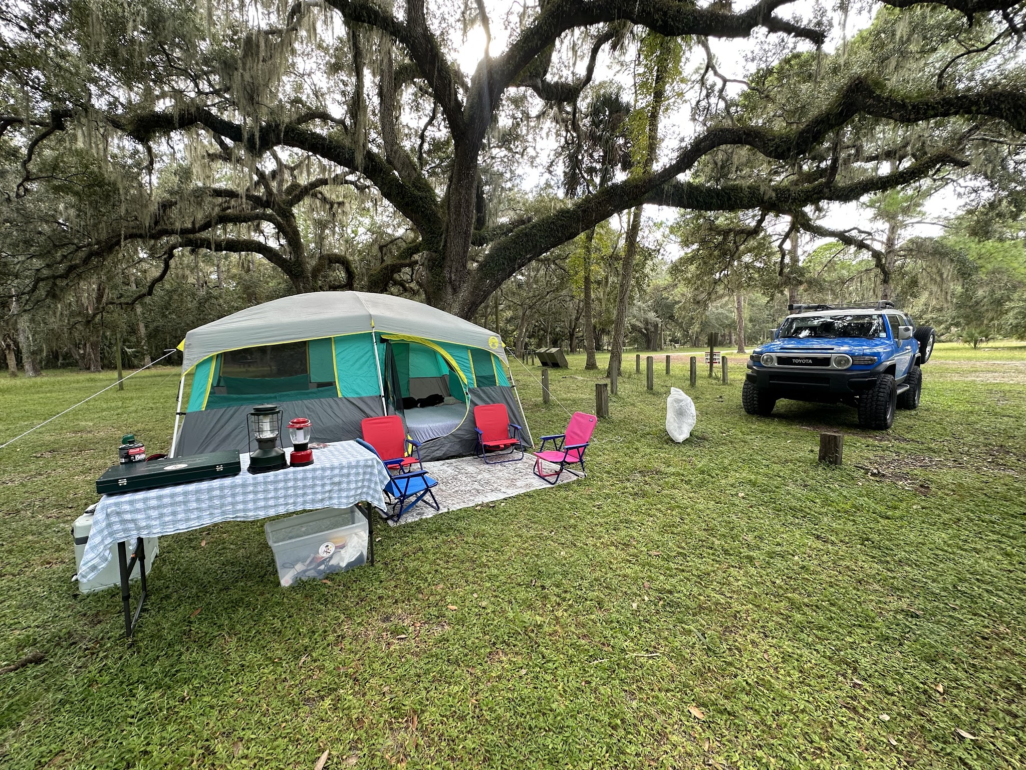 River Forest Group Site