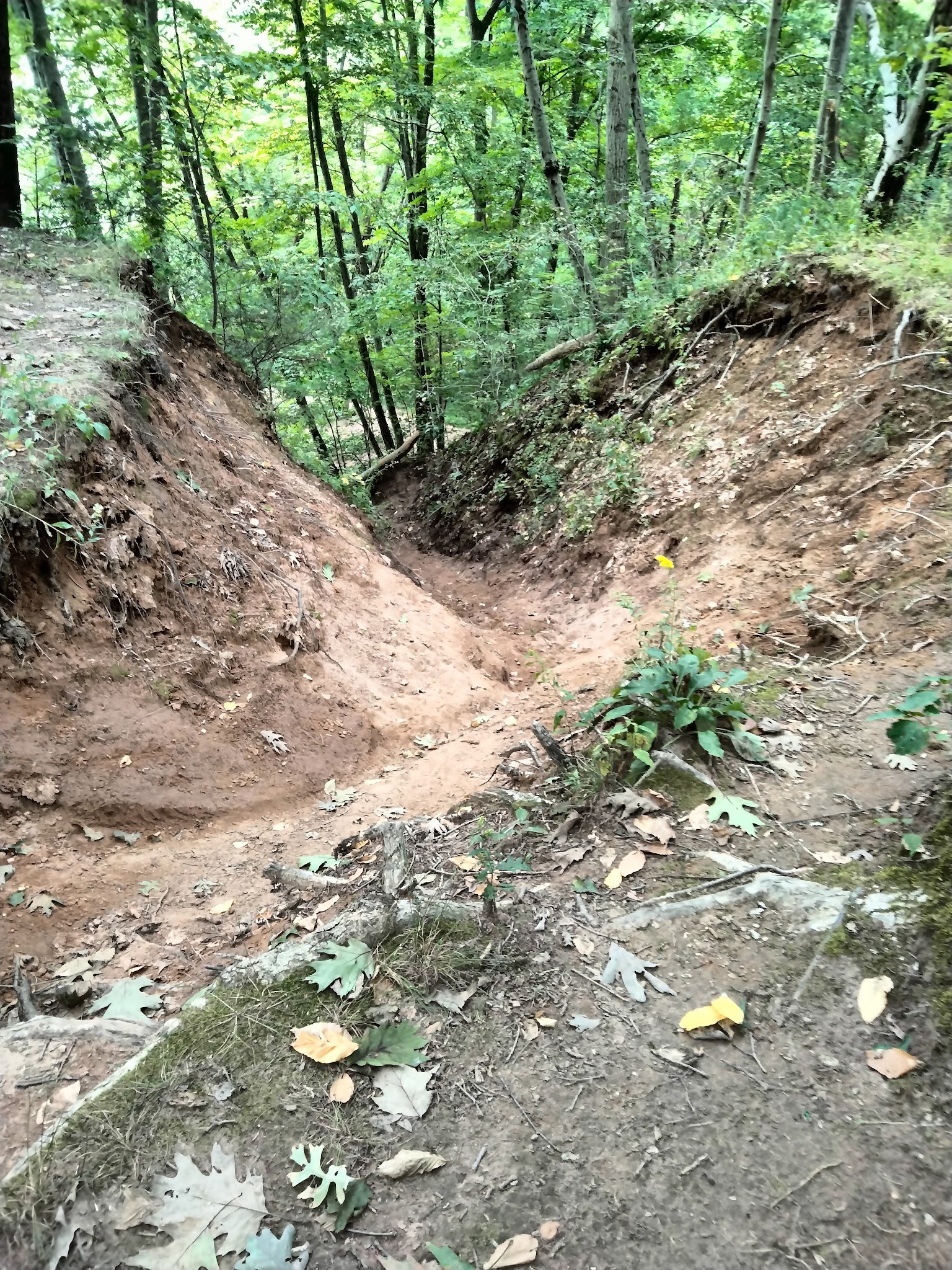 River Highlands State Park River Campground