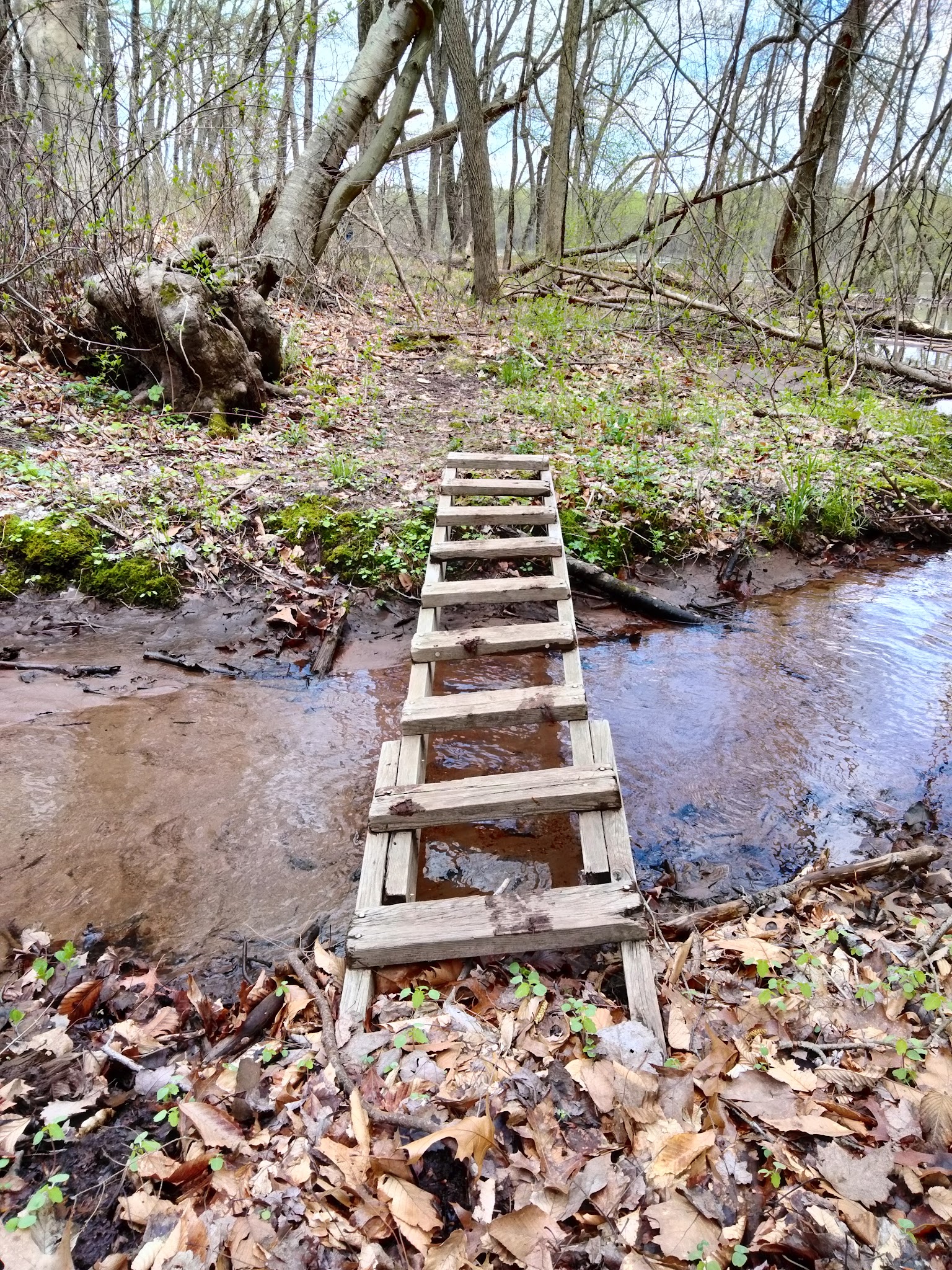 River Highlands State Park River Campground