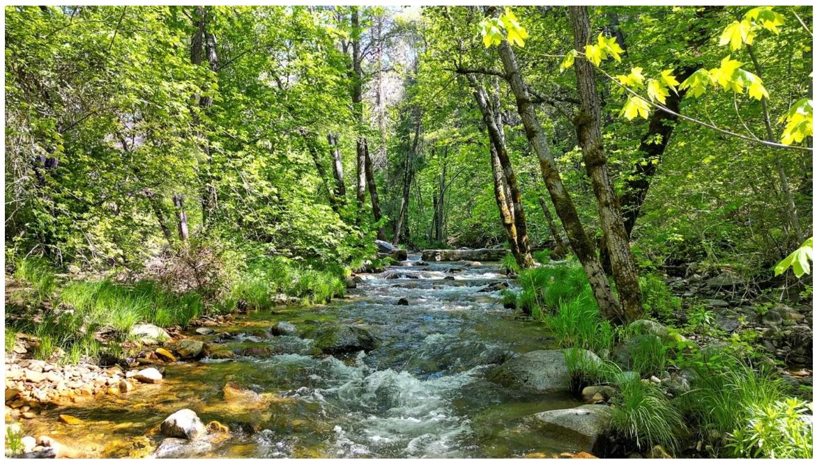 River Ranch - Hacienda Campground