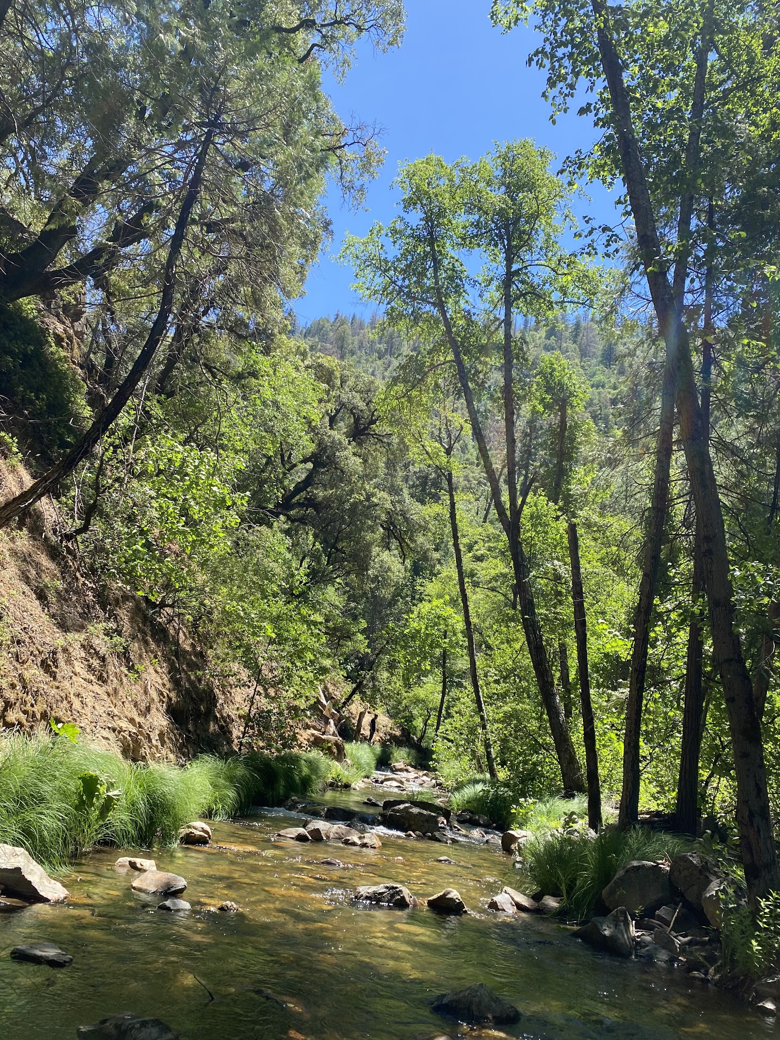 River Ranch - Hacienda Campground