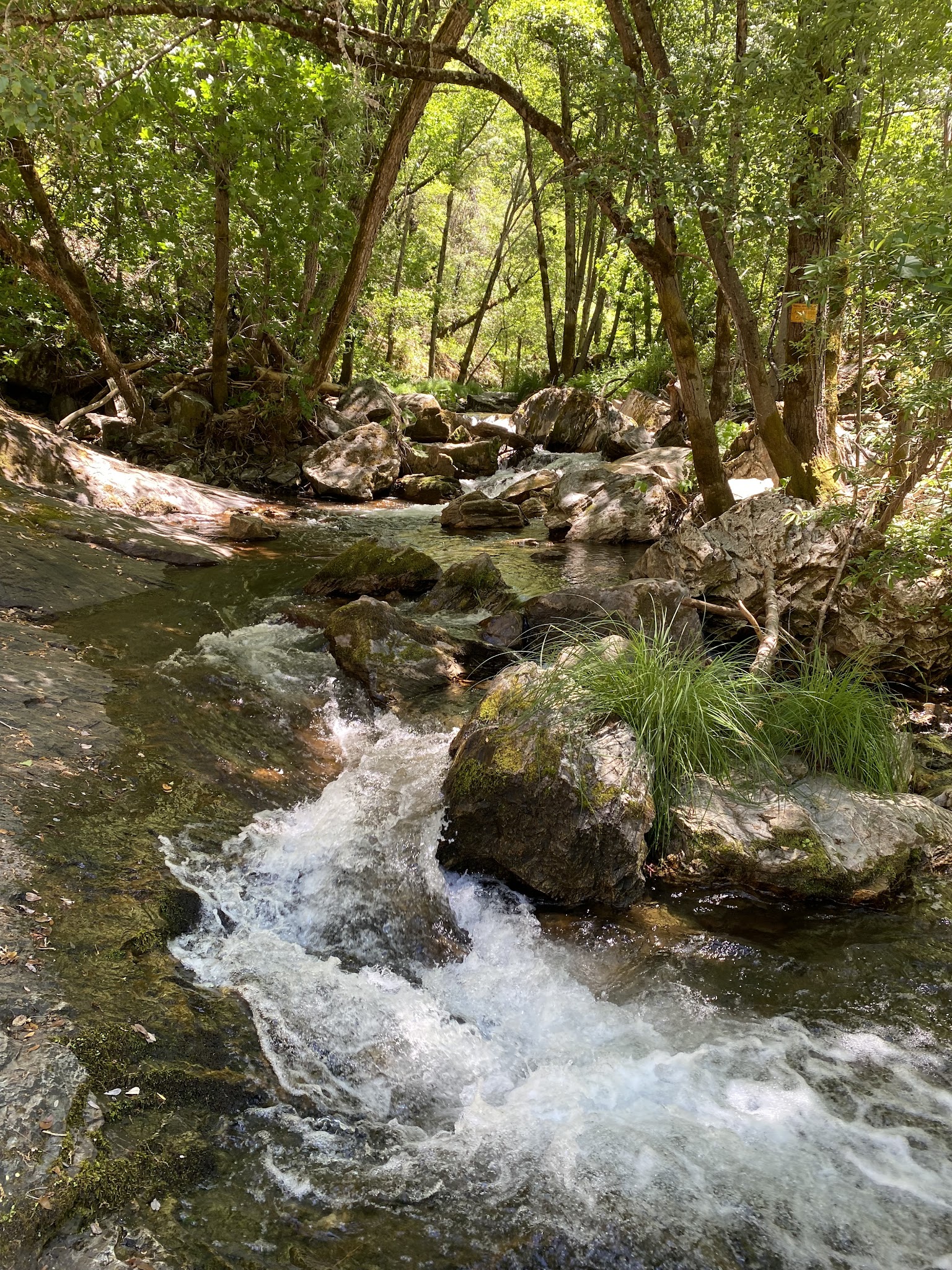 River Ranch - Hacienda Campground