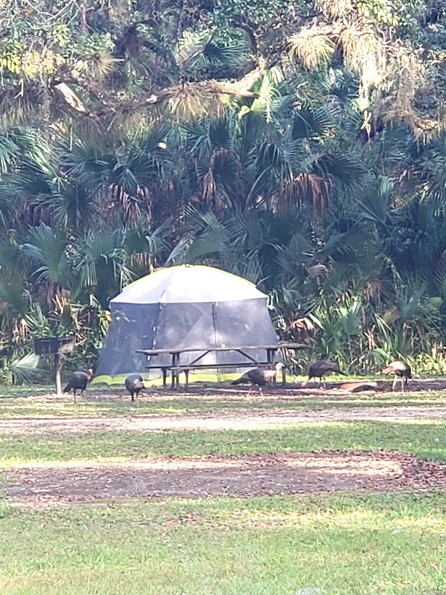 River Road Campground Lake George State Forest