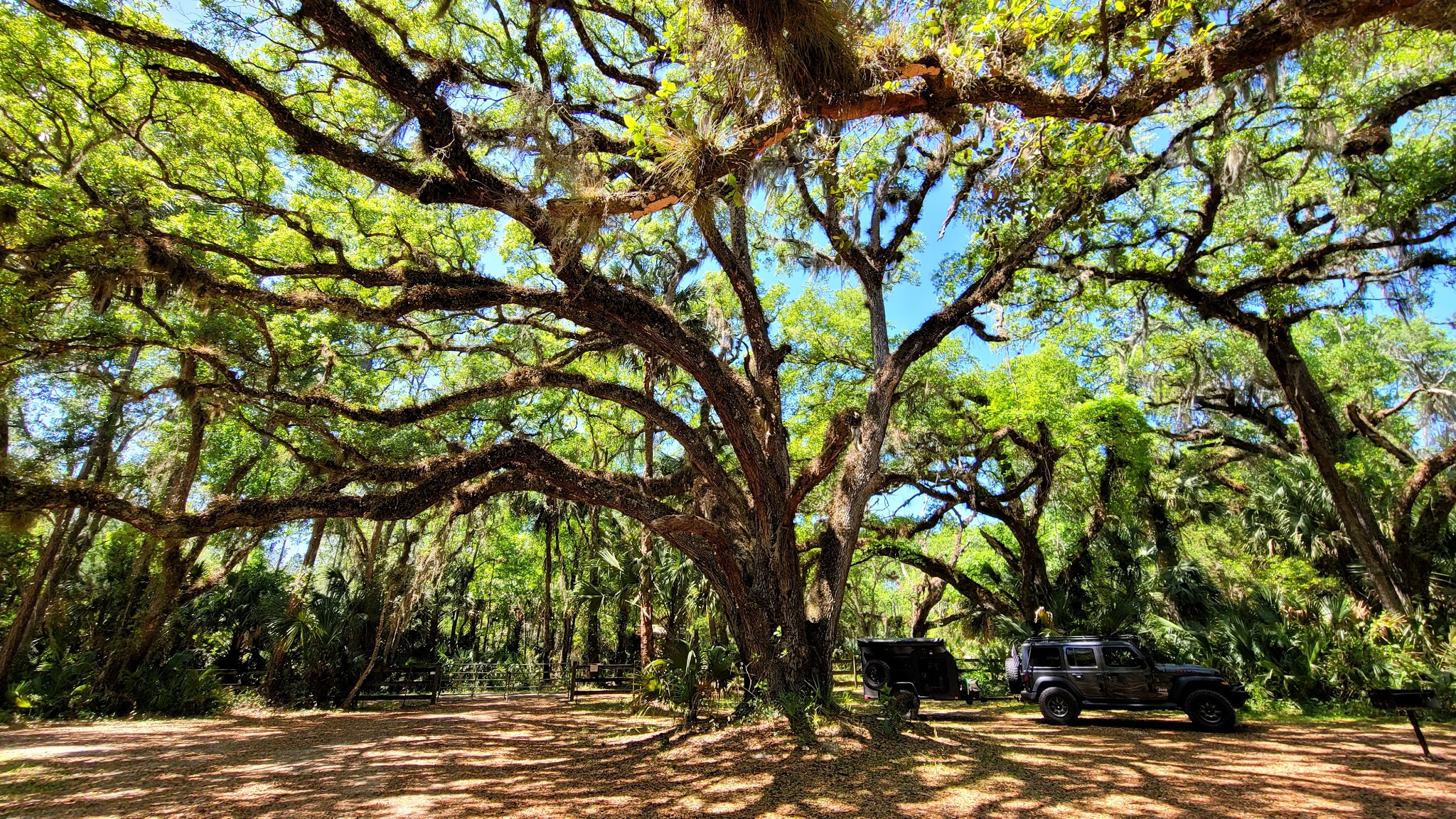 River Road Campground Lake George State Forest
