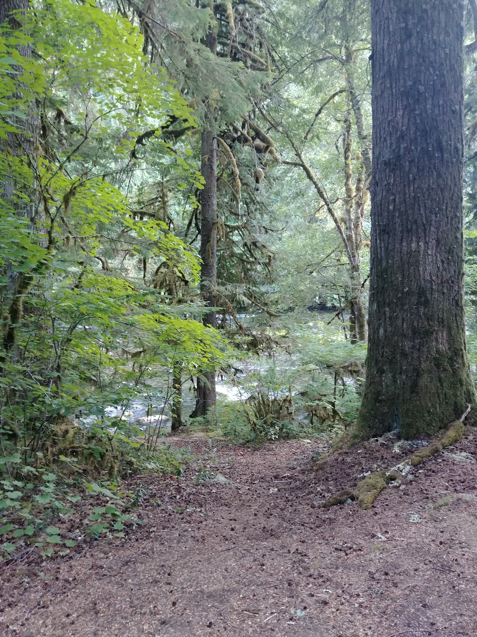 Riverford Campground