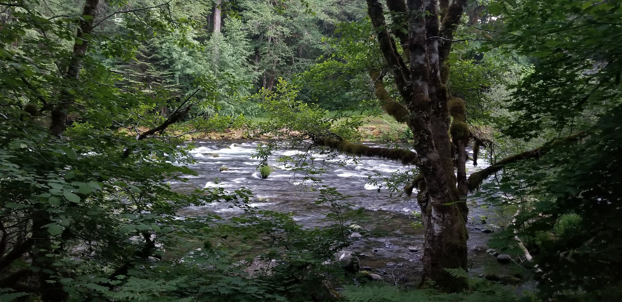 Riverford Campground