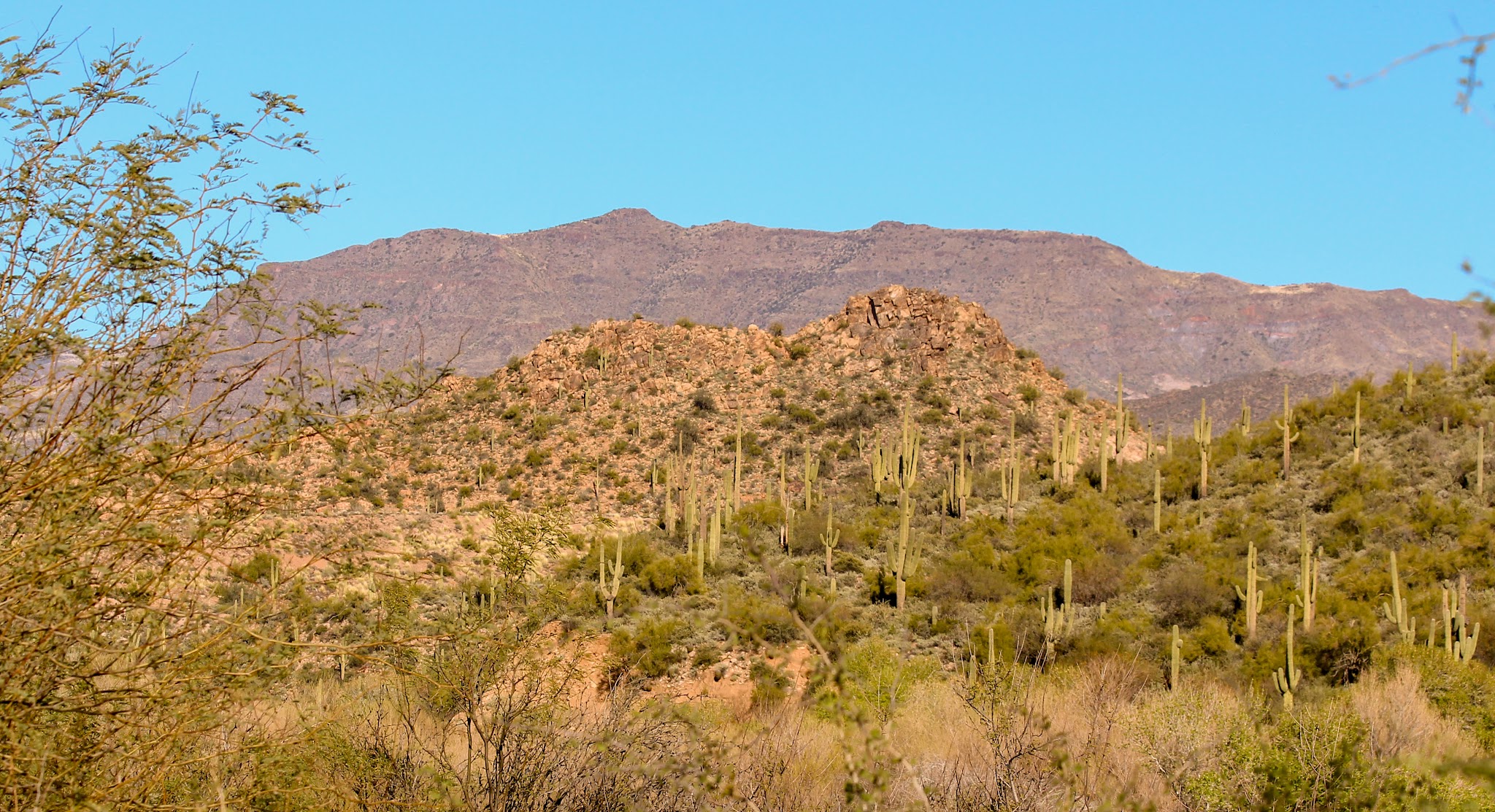Riverside Campground (Az)