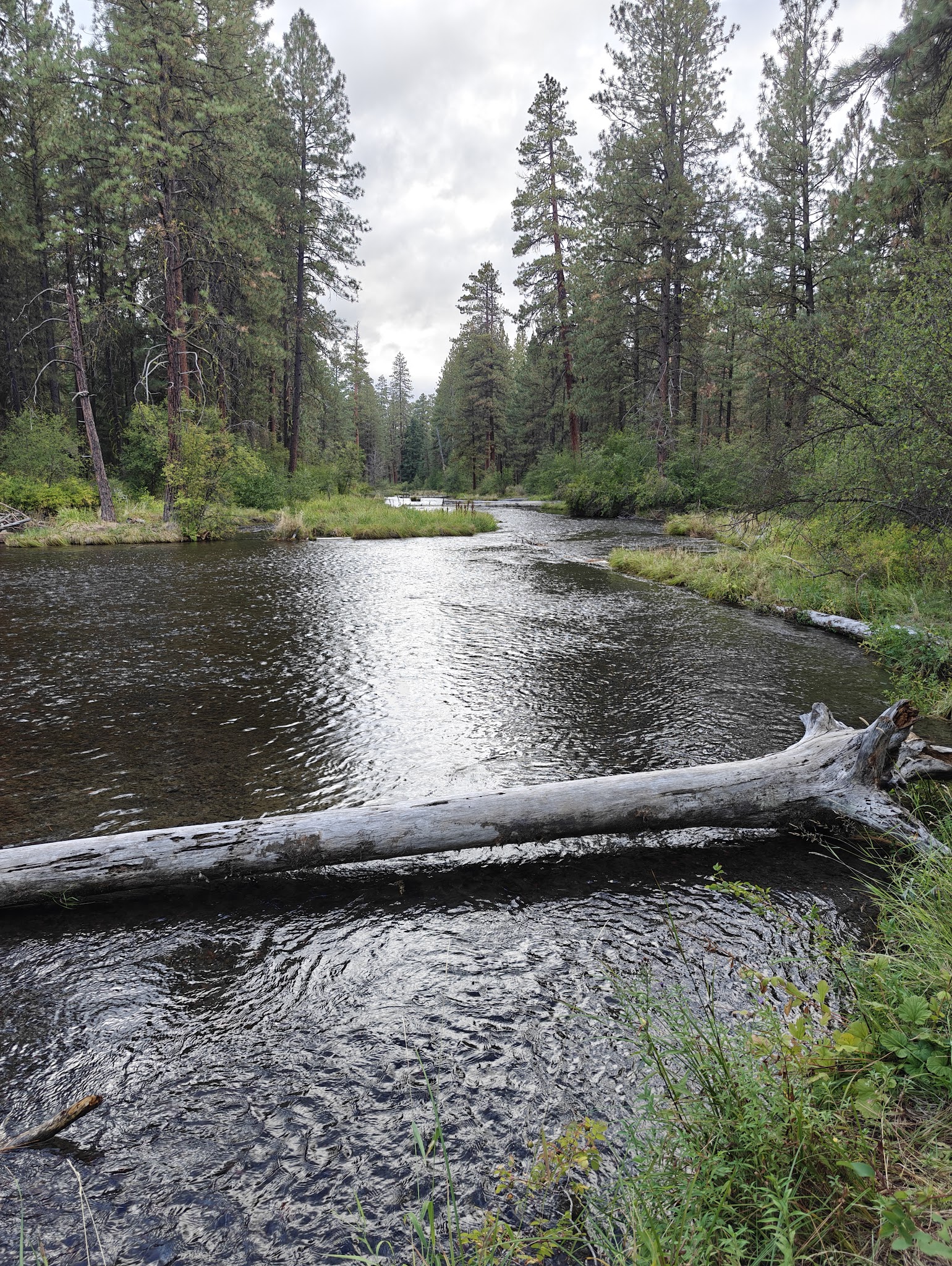 Riverside Campground