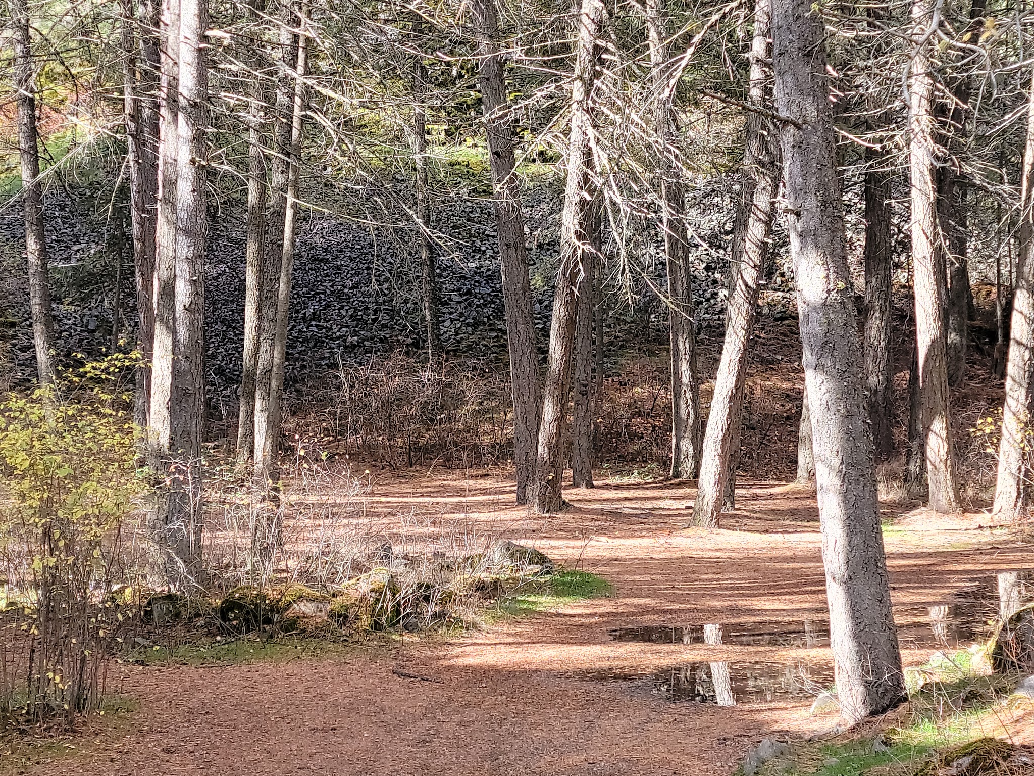 Riverside State Park - Bowl and Pitcher