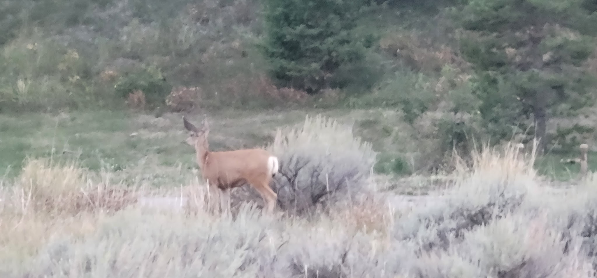 Riverview Campground