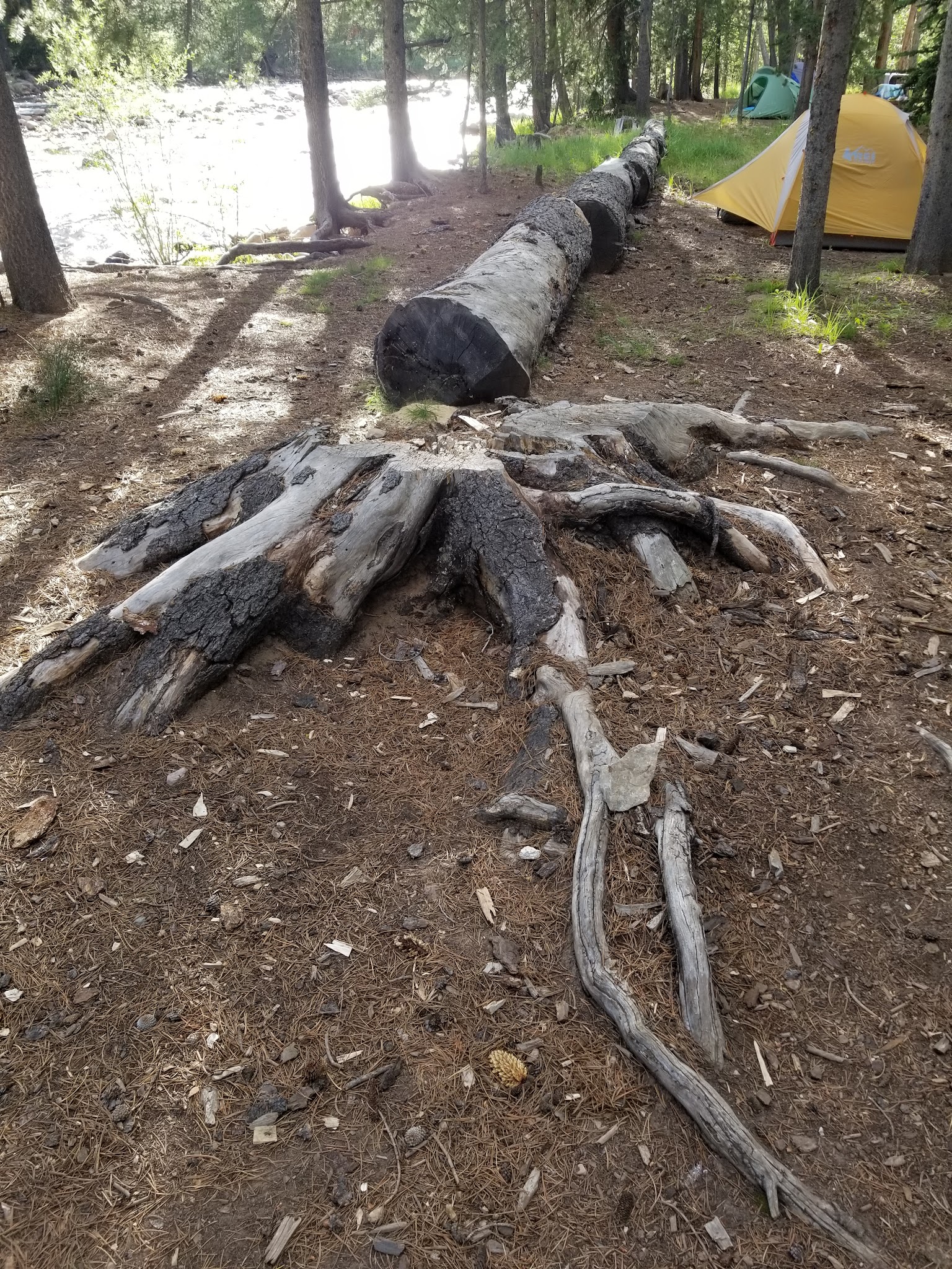 Riverview Campground