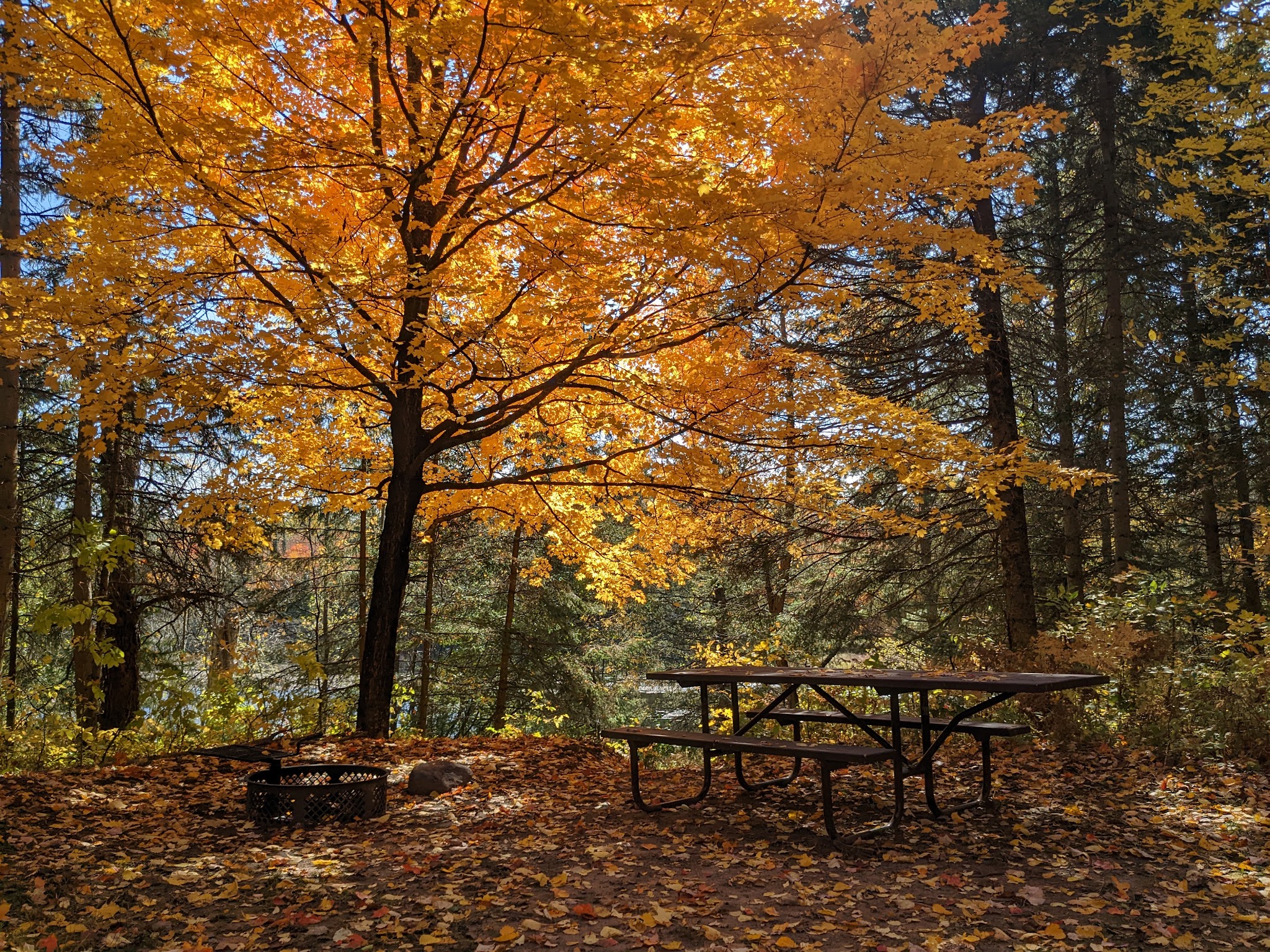 Robbins Pond Campground