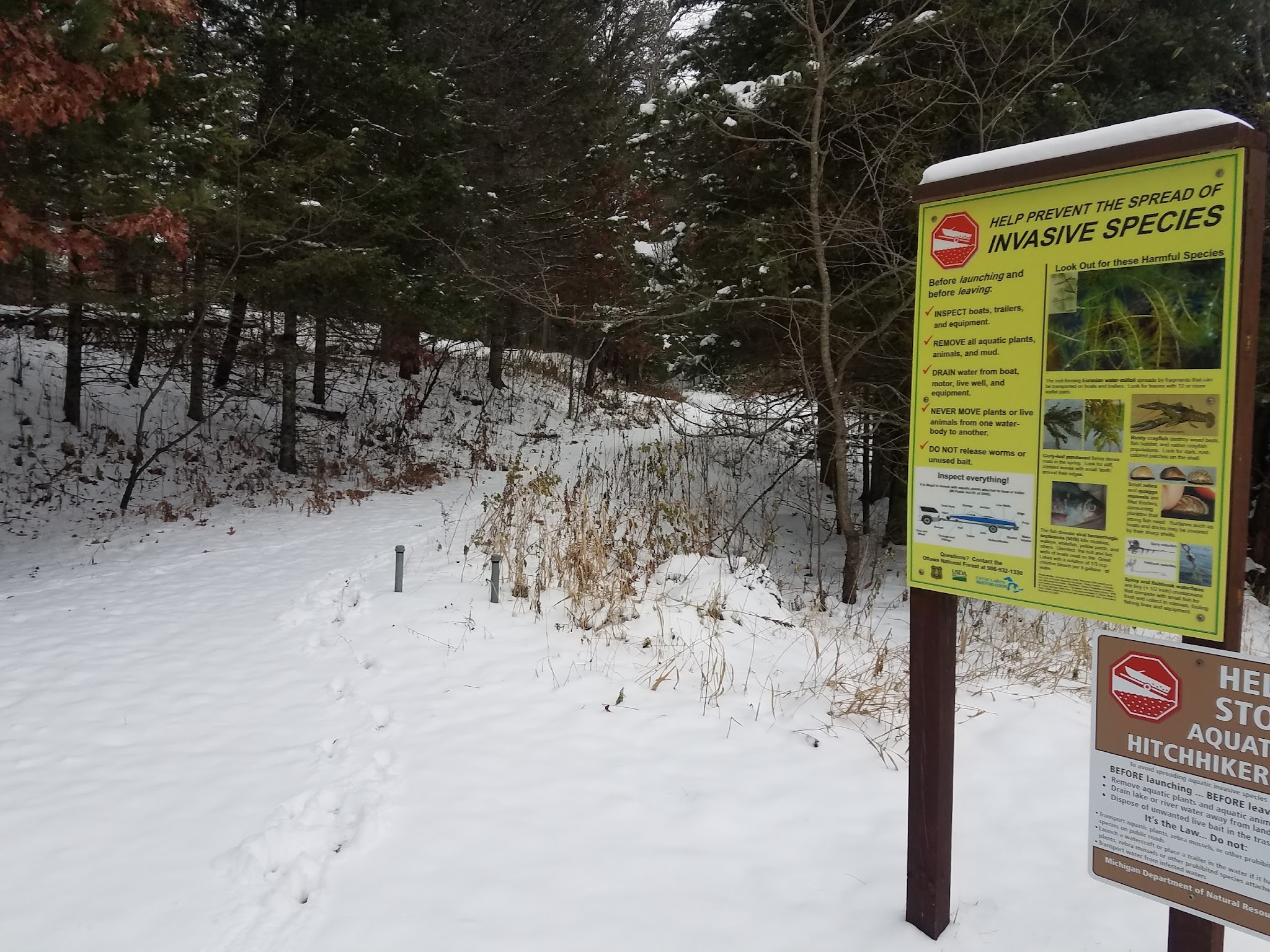 Robbins Pond Campground