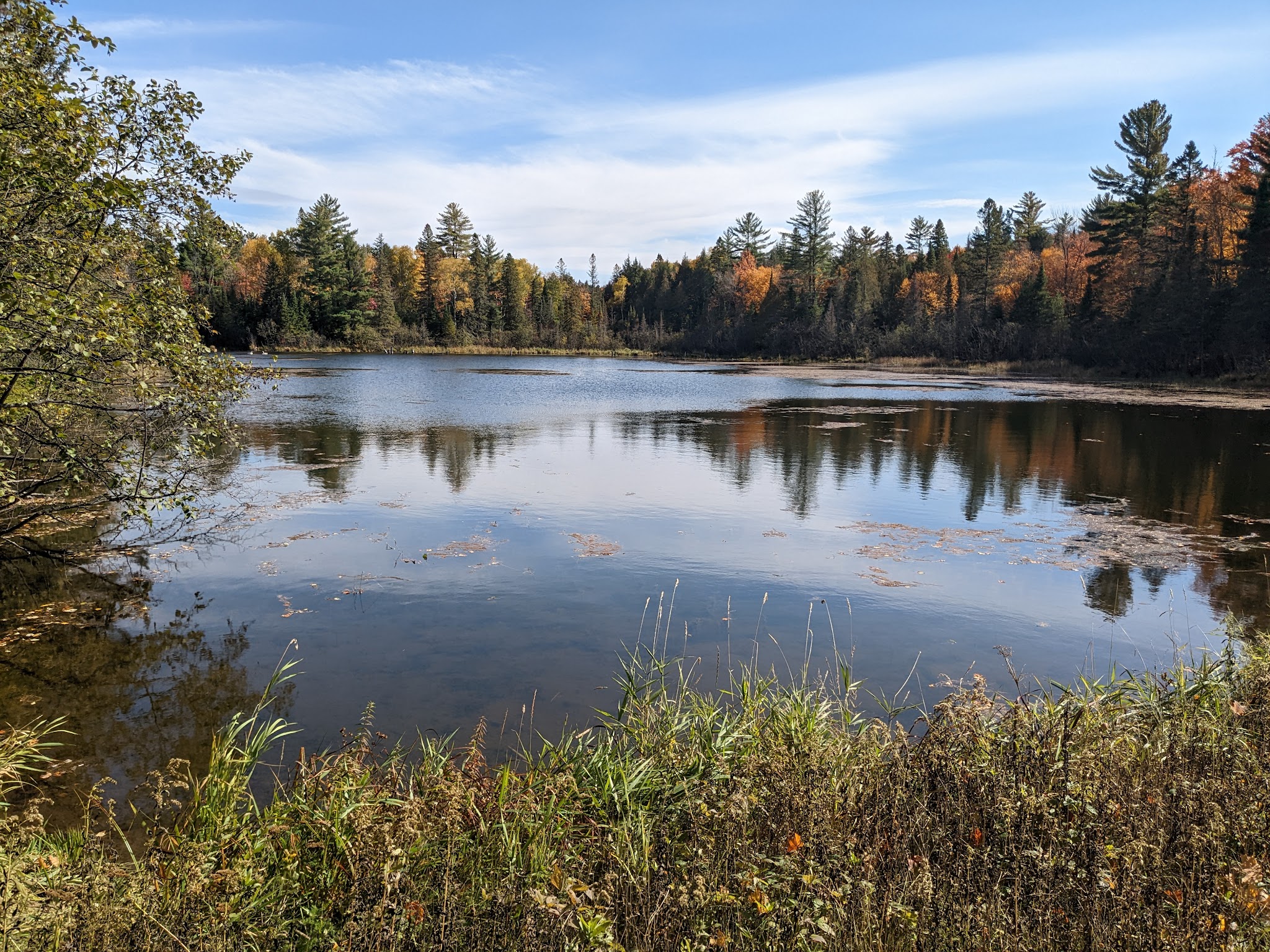 Robbins Pond Campground