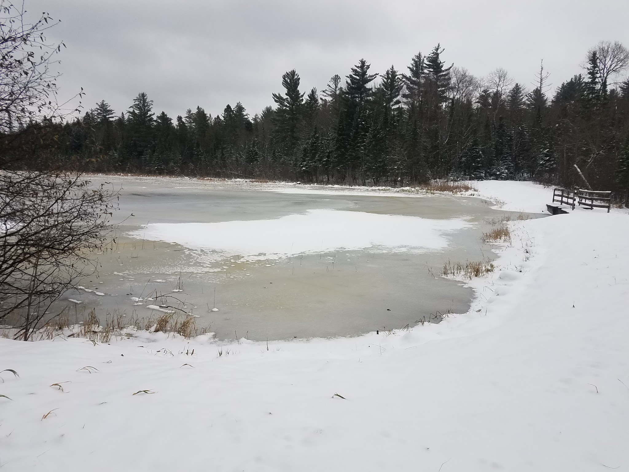 Robbins Pond Campground