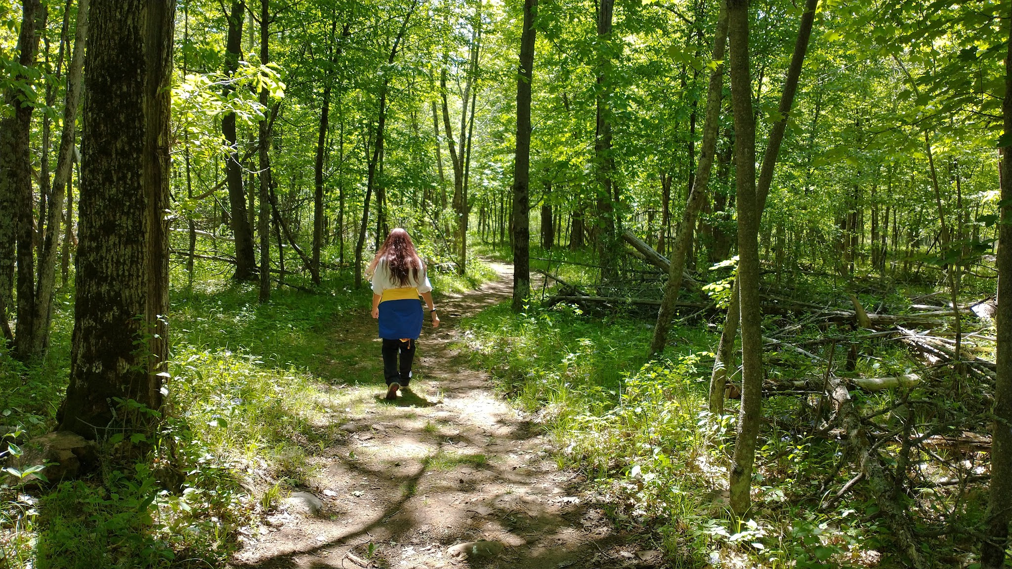 Robert G Wehle State Park