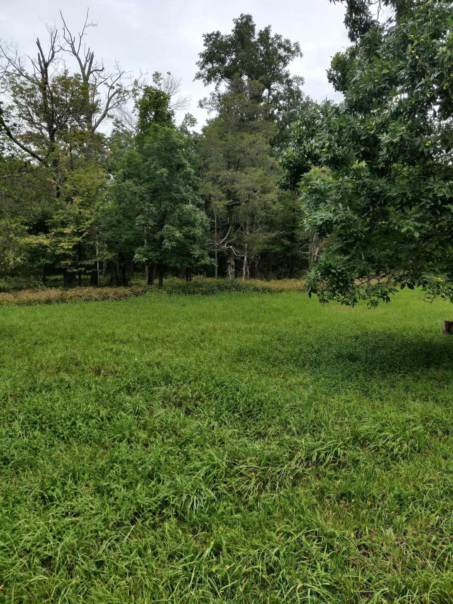 Robert G Wehle State Park