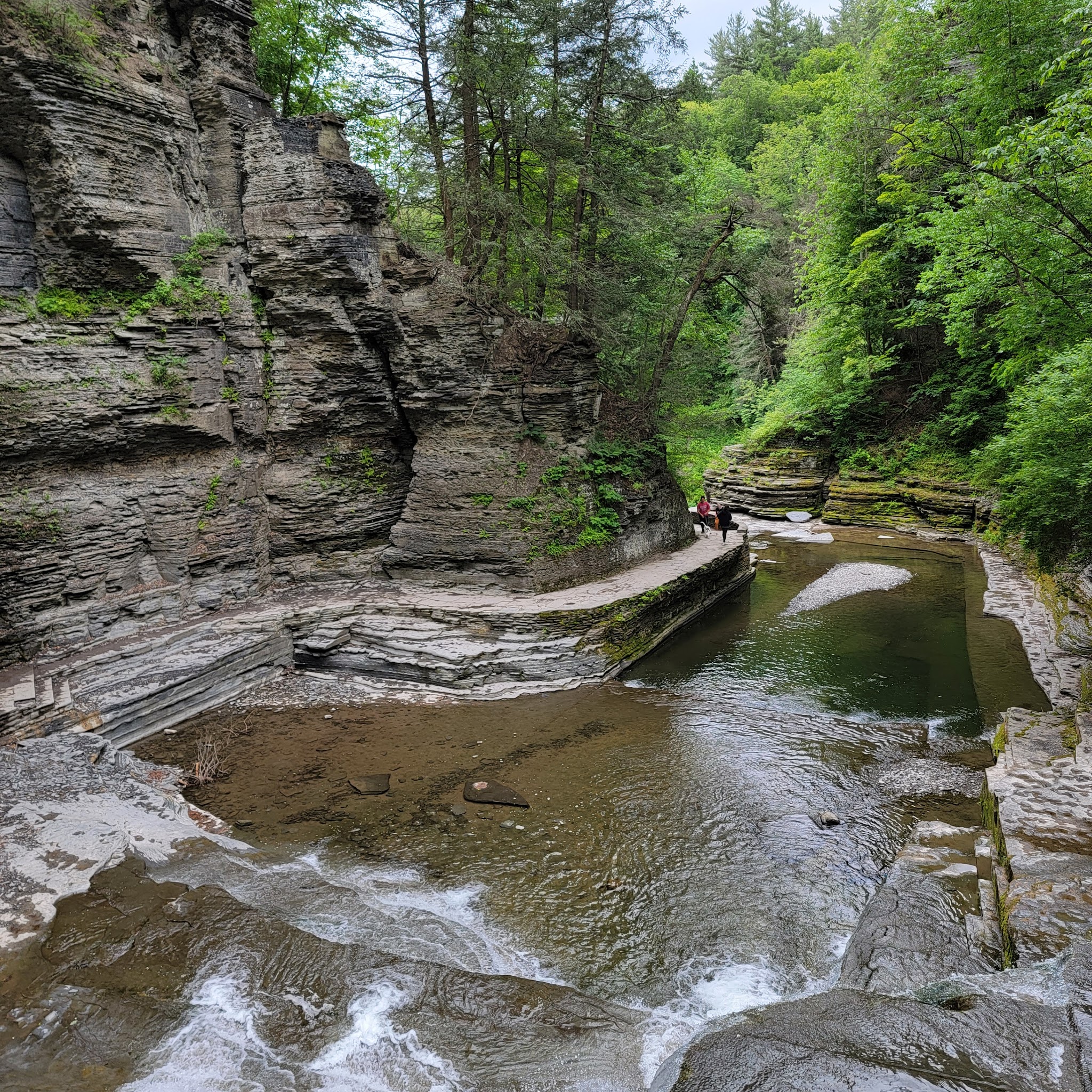 Robert H Treman State Park