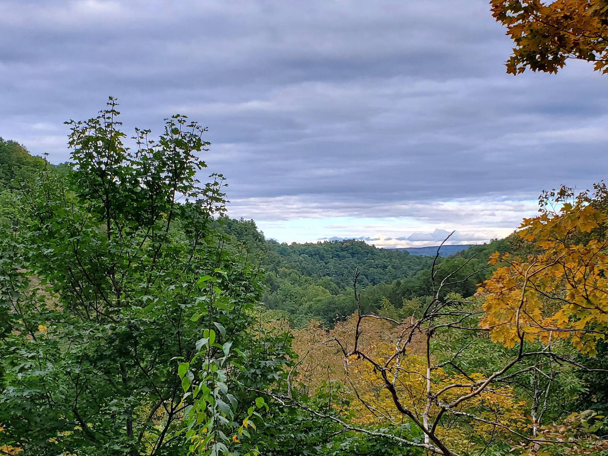 Robert H Treman State Park