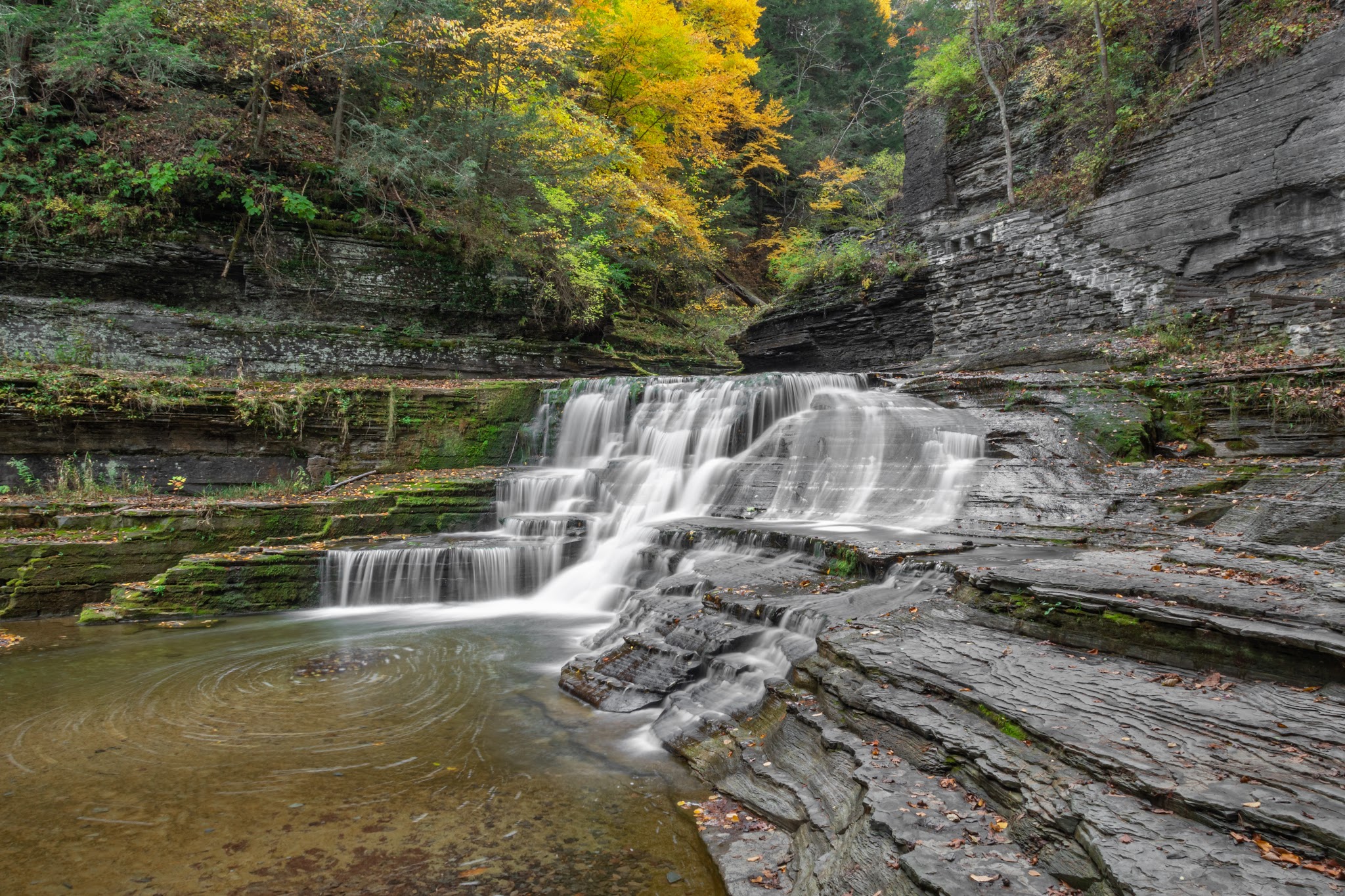 Robert H Treman State Park