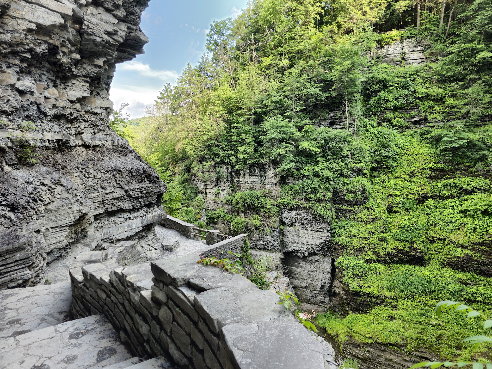Robert H Treman State Park