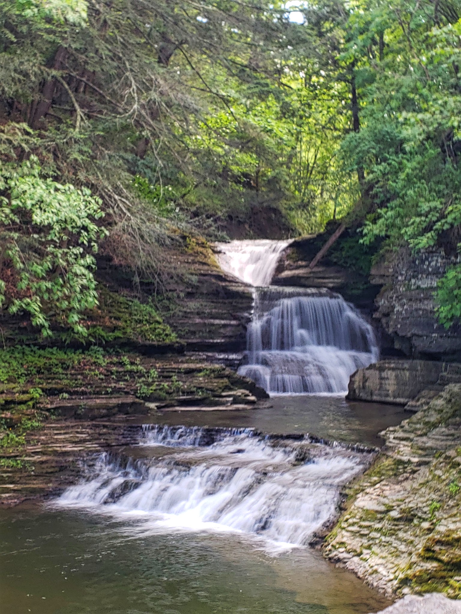 Robert H Treman State Park