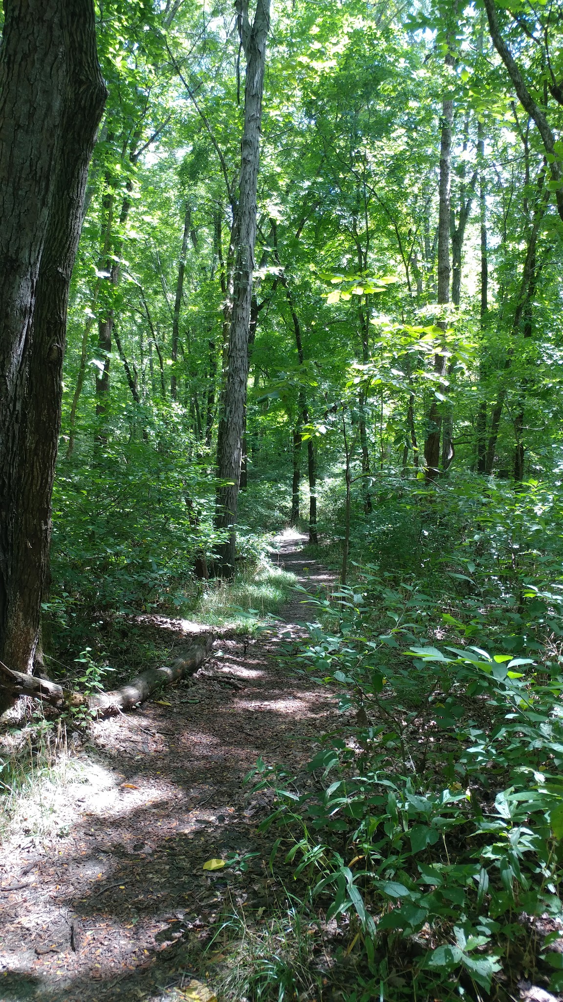 Robertsville State Park Campground