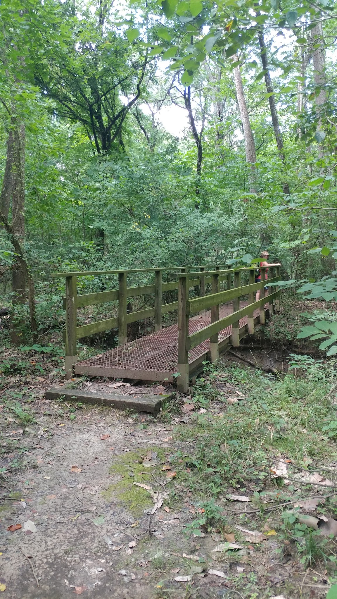 Robertsville State Park Campground