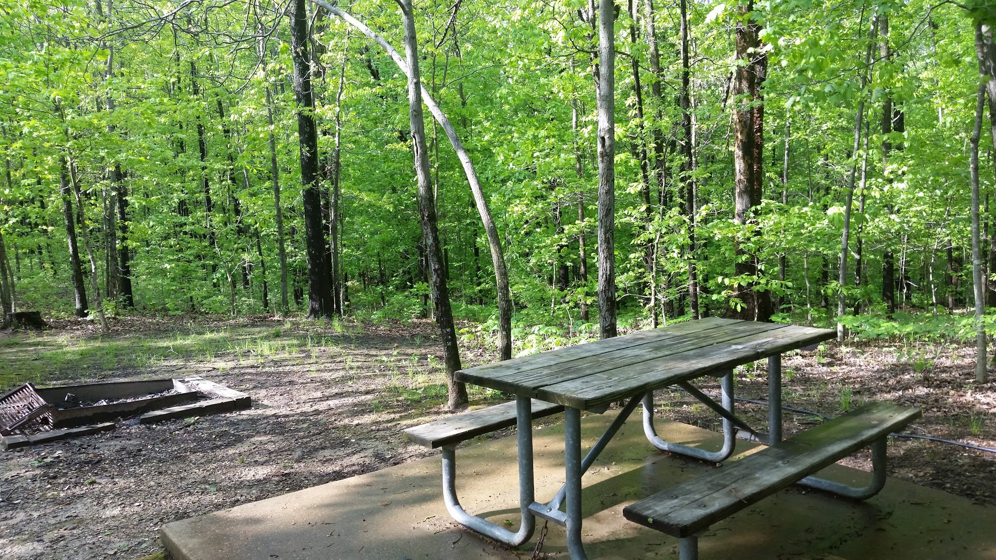 Robertsville State Park Campground