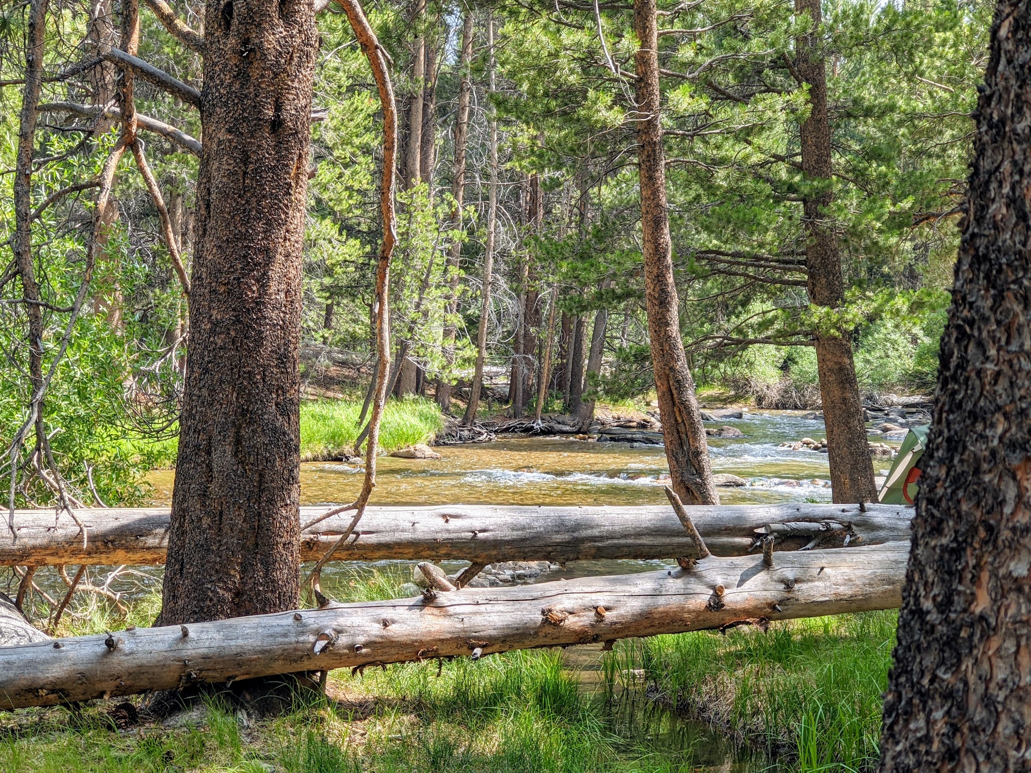 Robinson Creek North