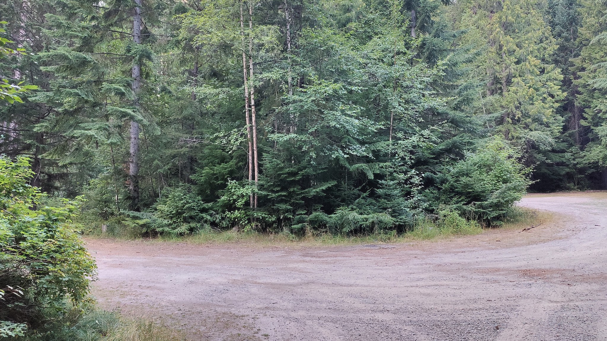 Robinson Lake Campground