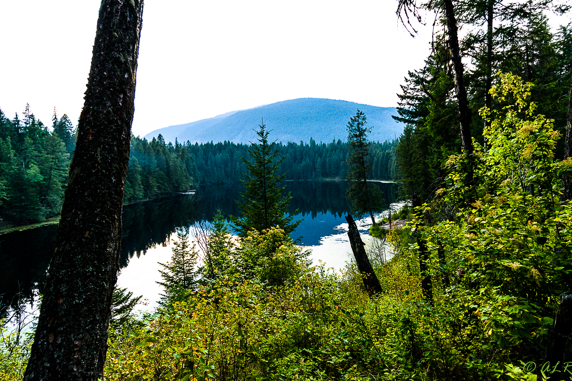 Robinson Lake Campground