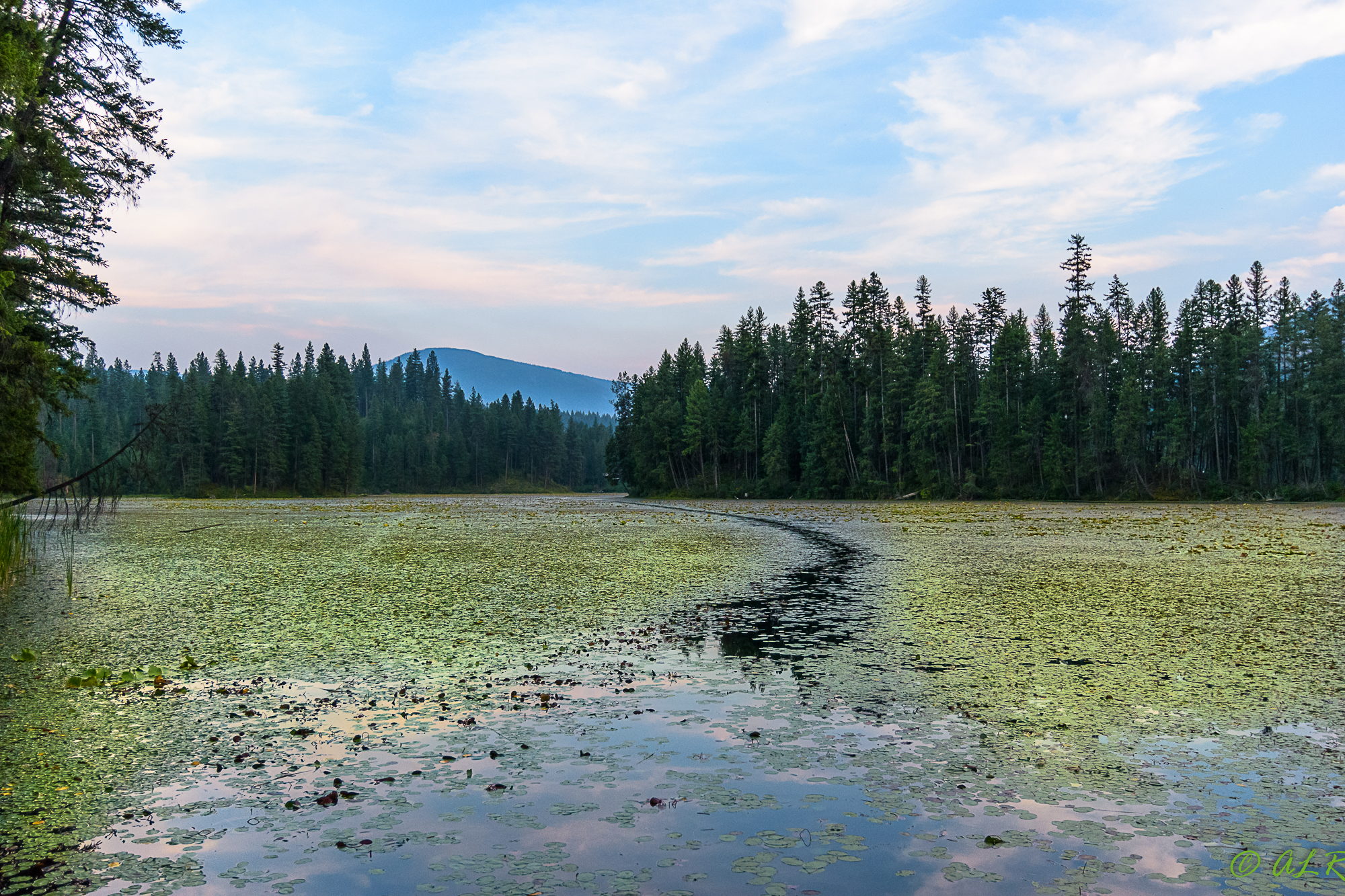 Robinson Lake Campground