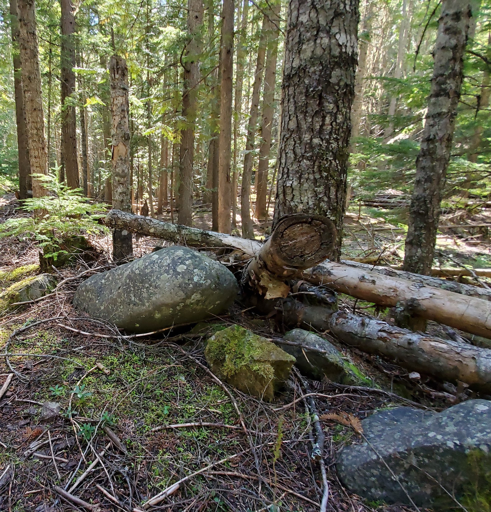 Robinson Lake Campground