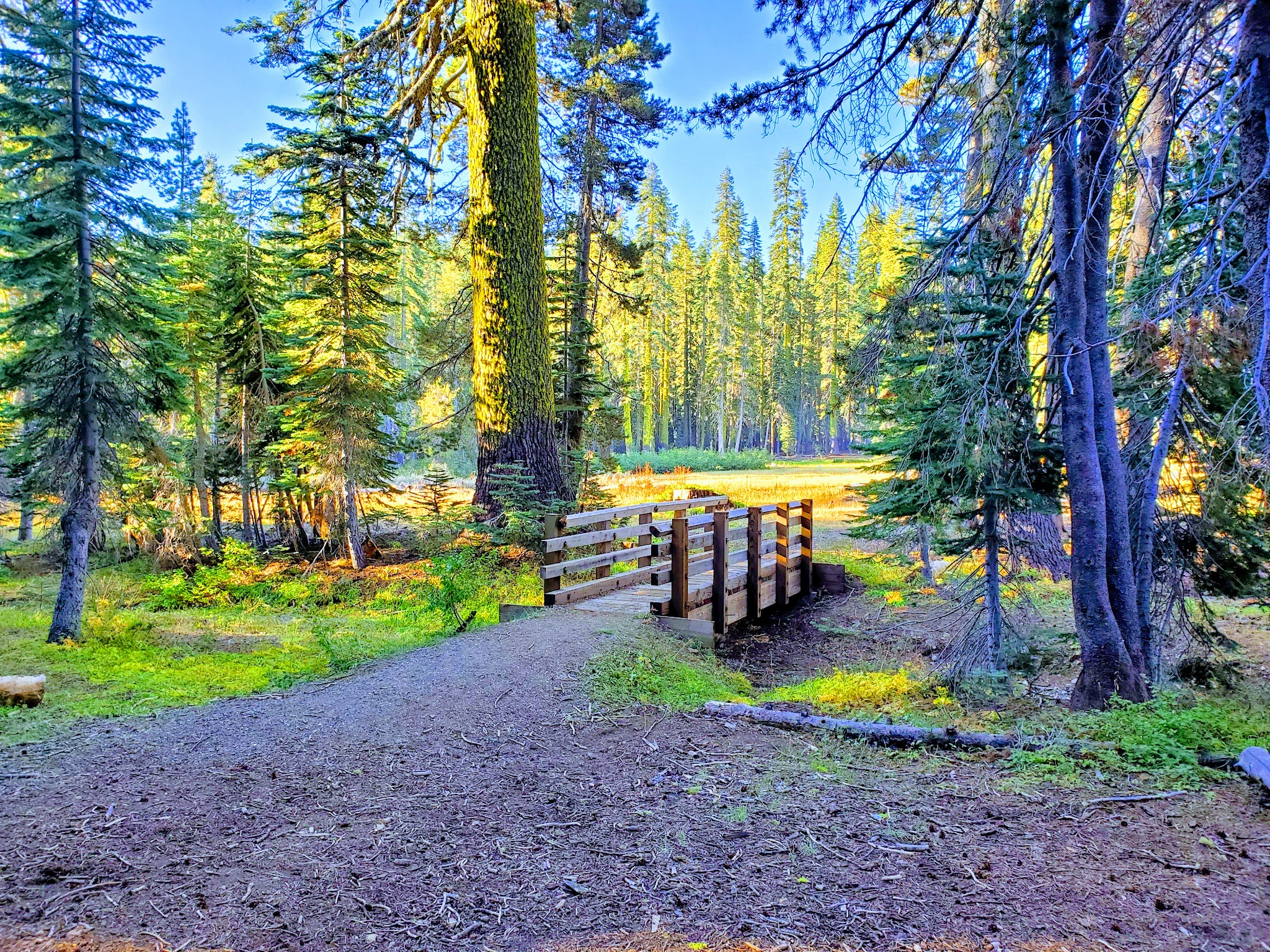 Robinson Flat Campground