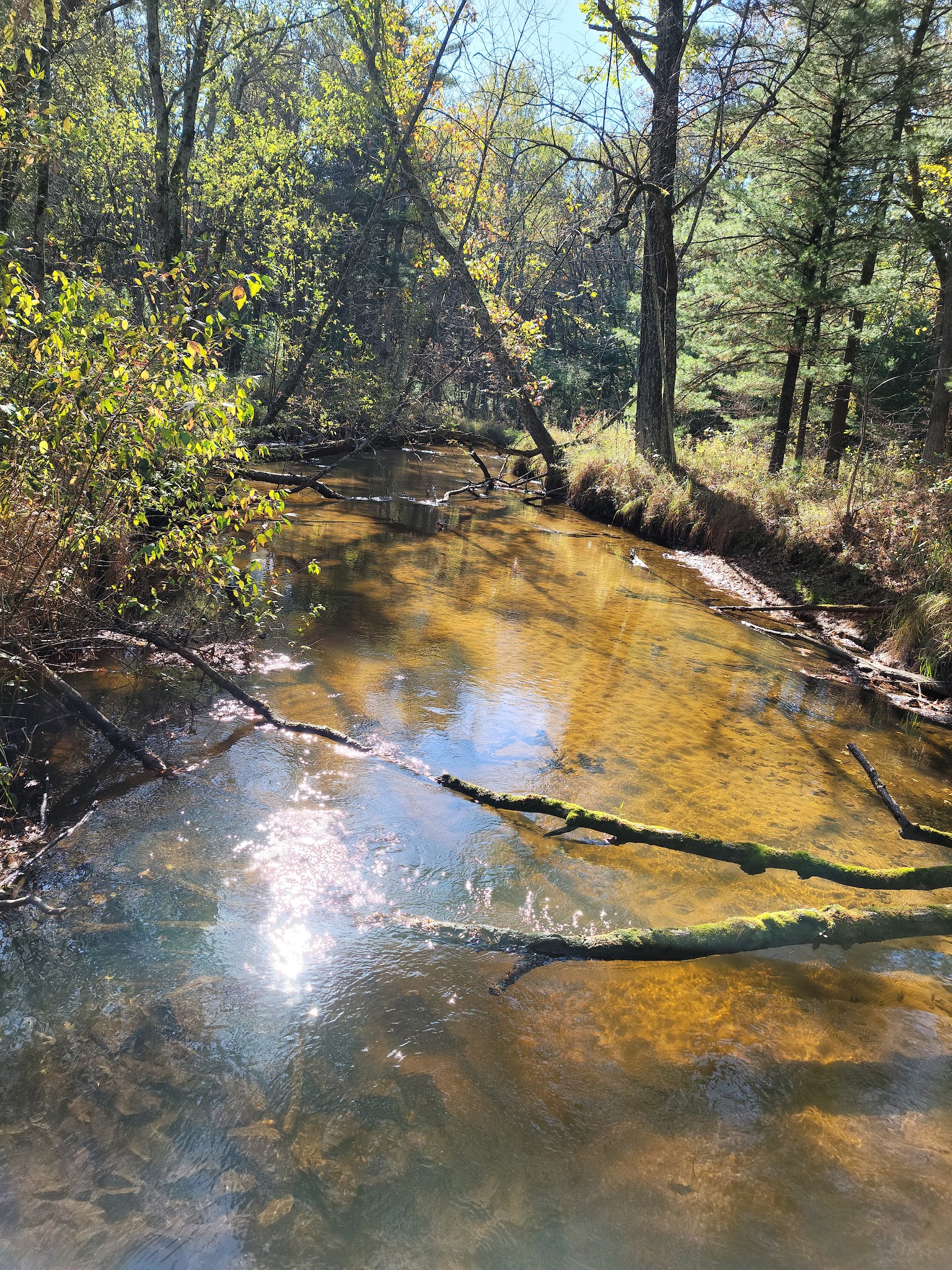 Roche-A-Cri State Park