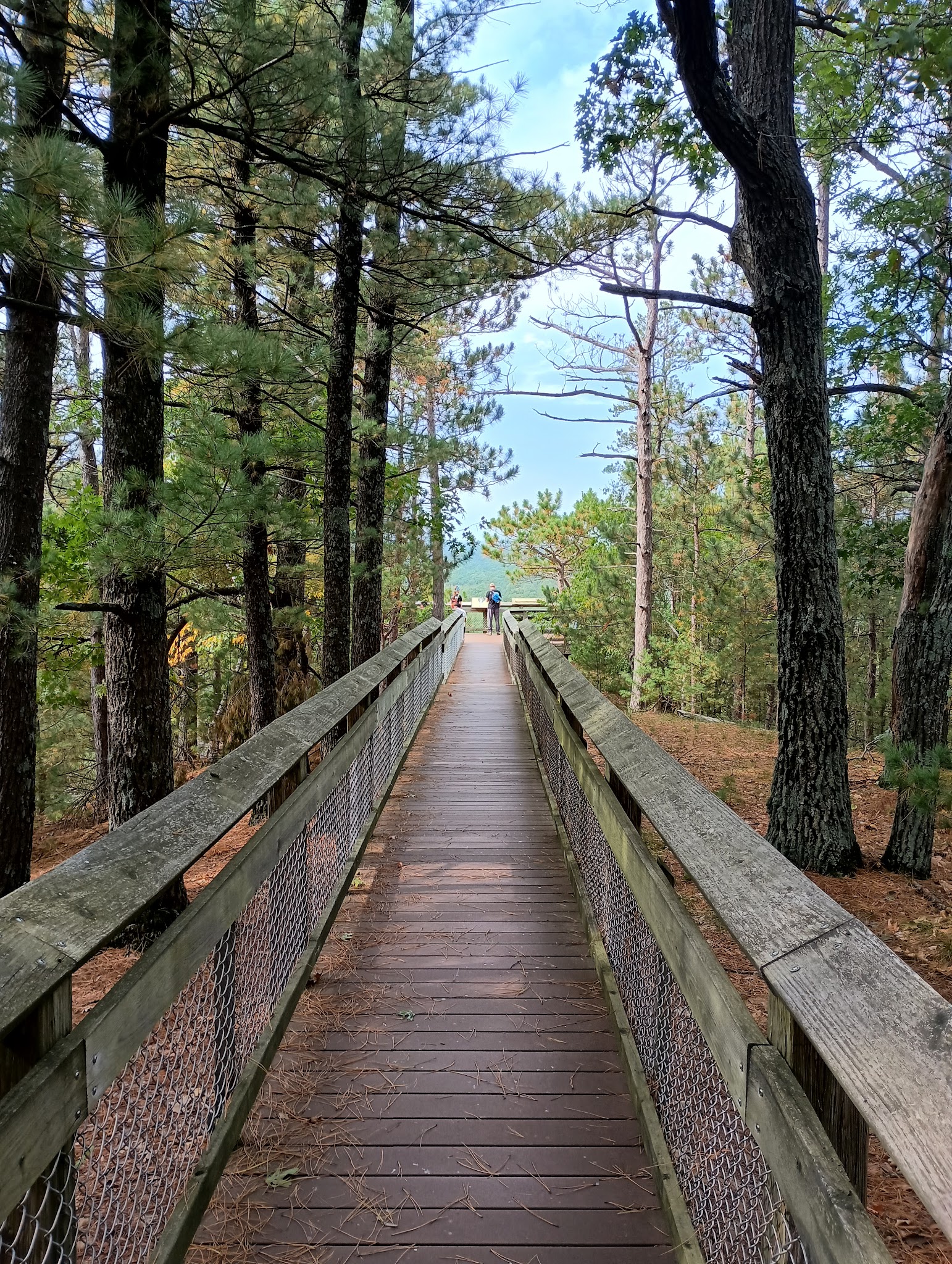 Roche-A-Cri State Park